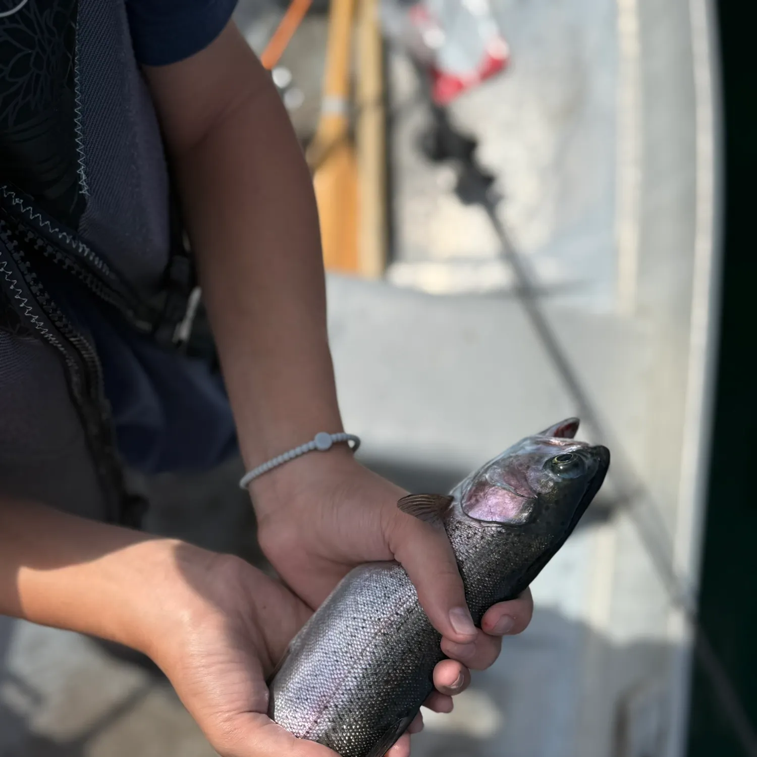 Steelhead caught on Fishbrain