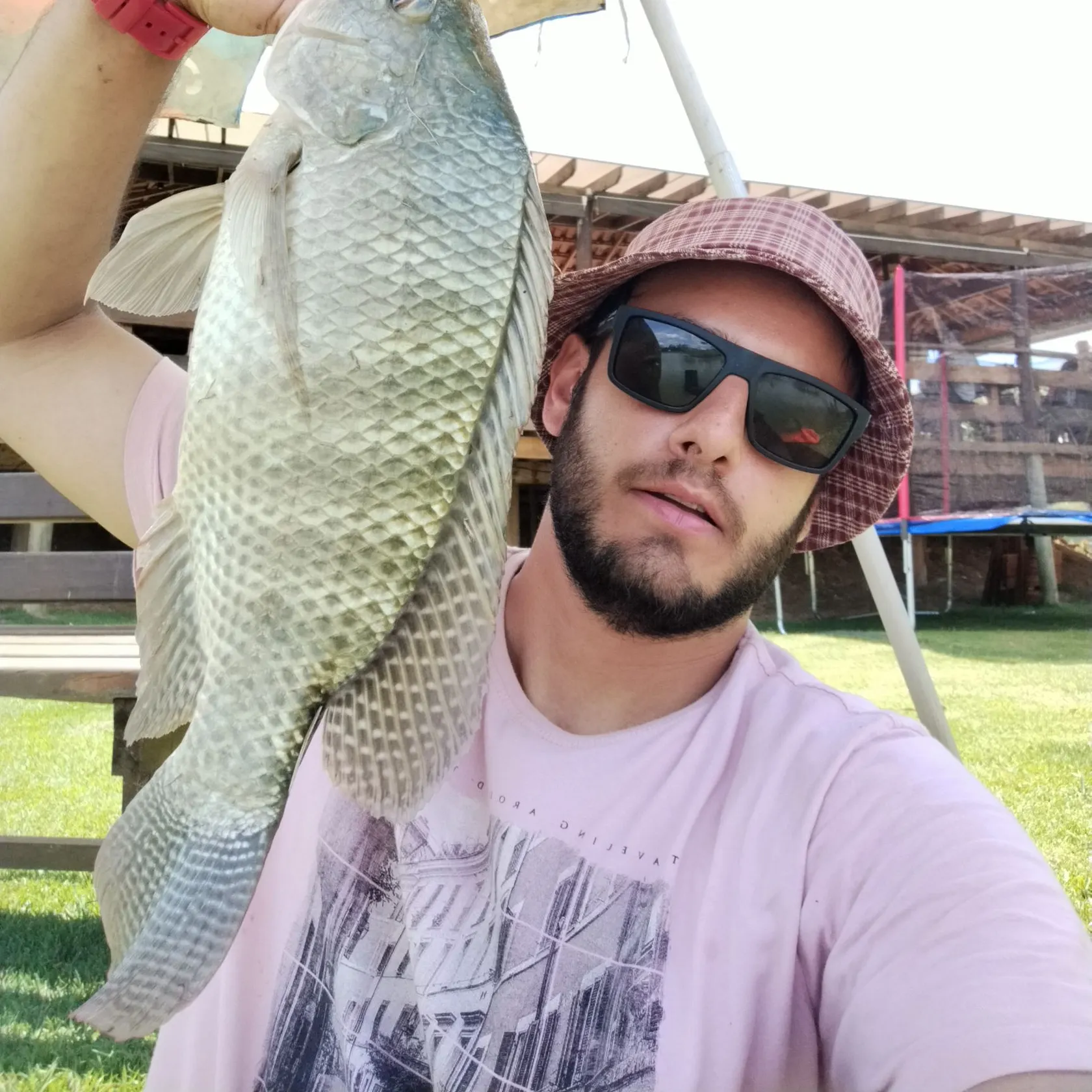 Nile tilapia caught on Fishbrain
