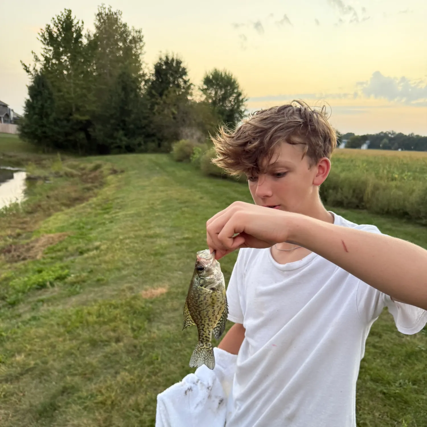 The most recent Black crappie catches on Fishbrain