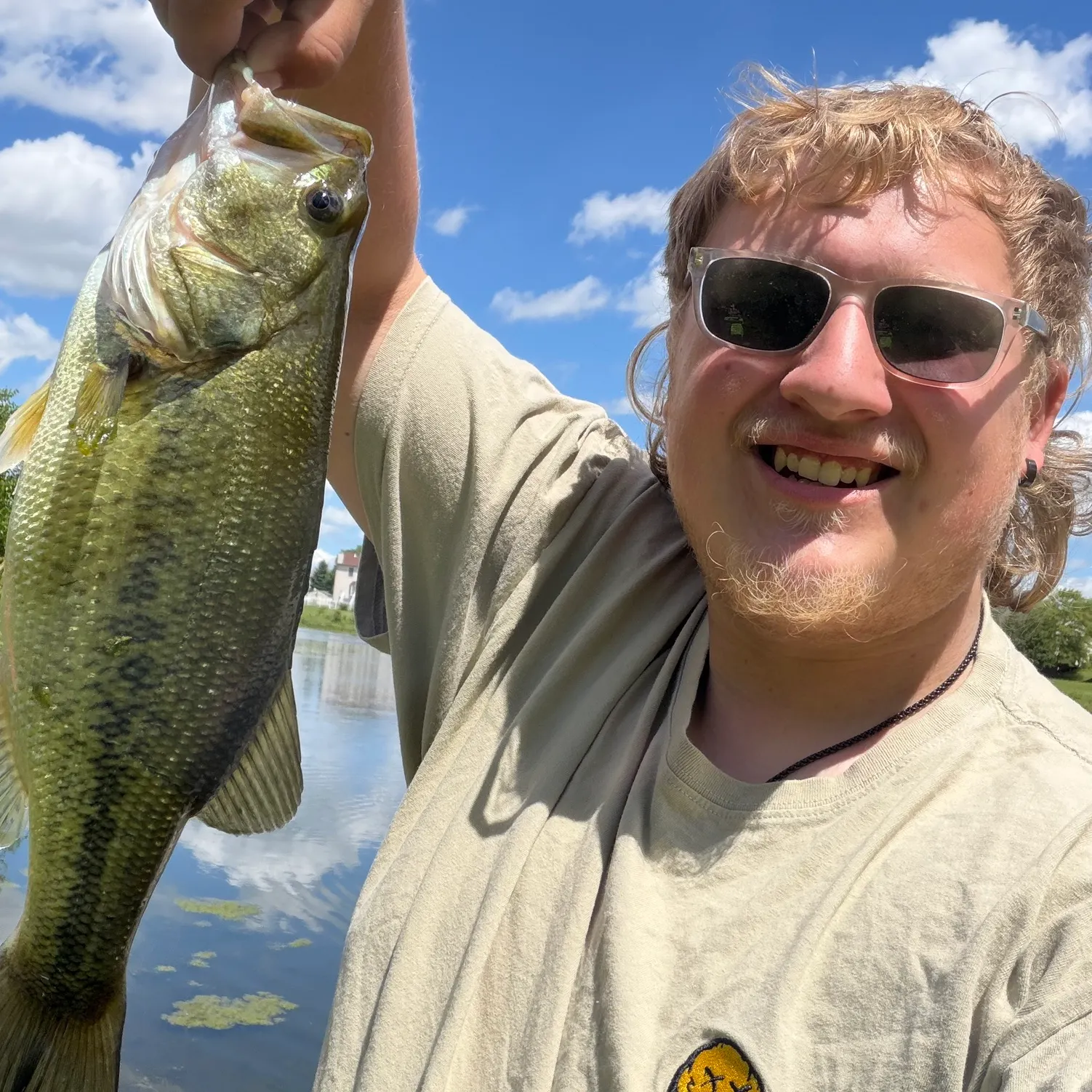 Largemouth bass caught on Fishbrain