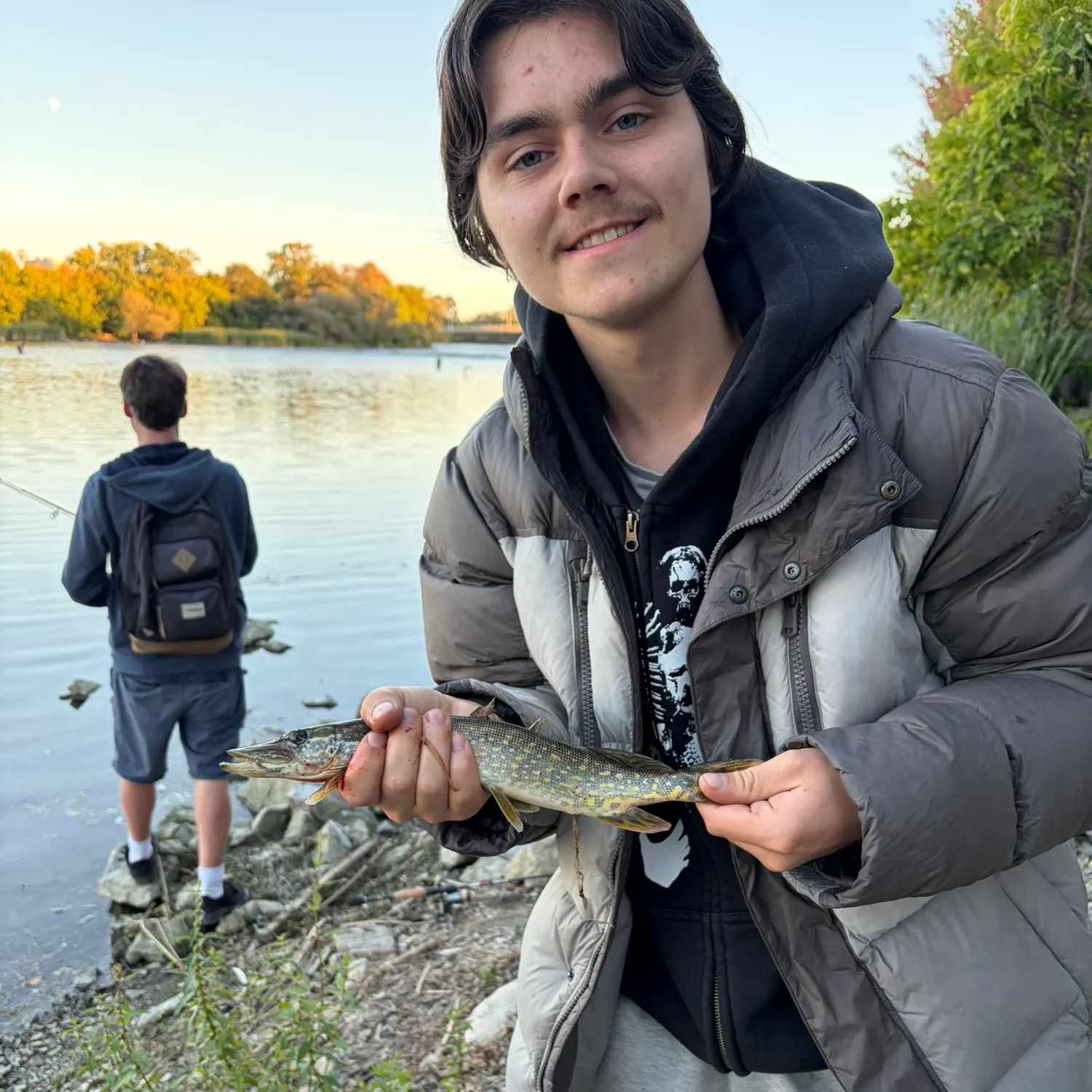 Northern pike caught on Fishbrain