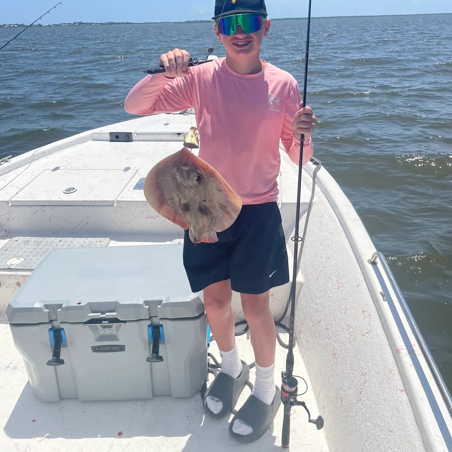 The most recent Sepia stingray catches on Fishbrain