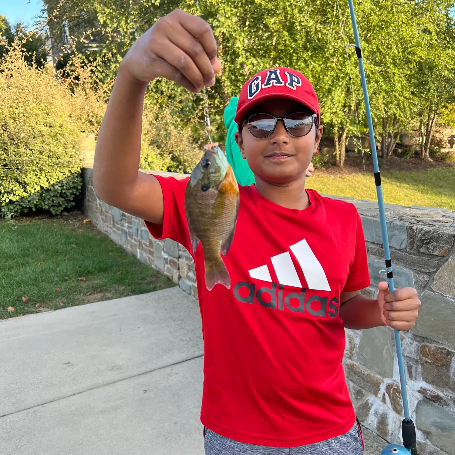 Bluegill caught on Fishbrain