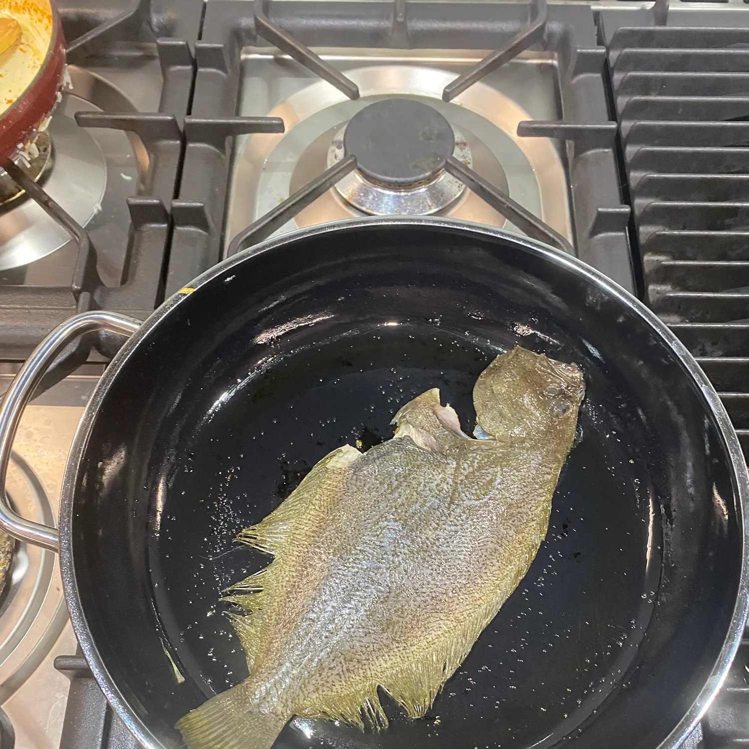 The most recent Smalltooth flounder catches on Fishbrain