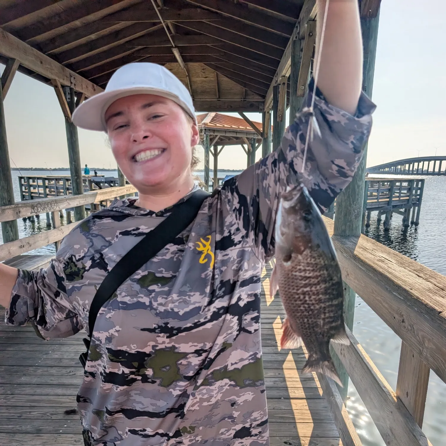 The most recent Mangrove snapper catches on Fishbrain
