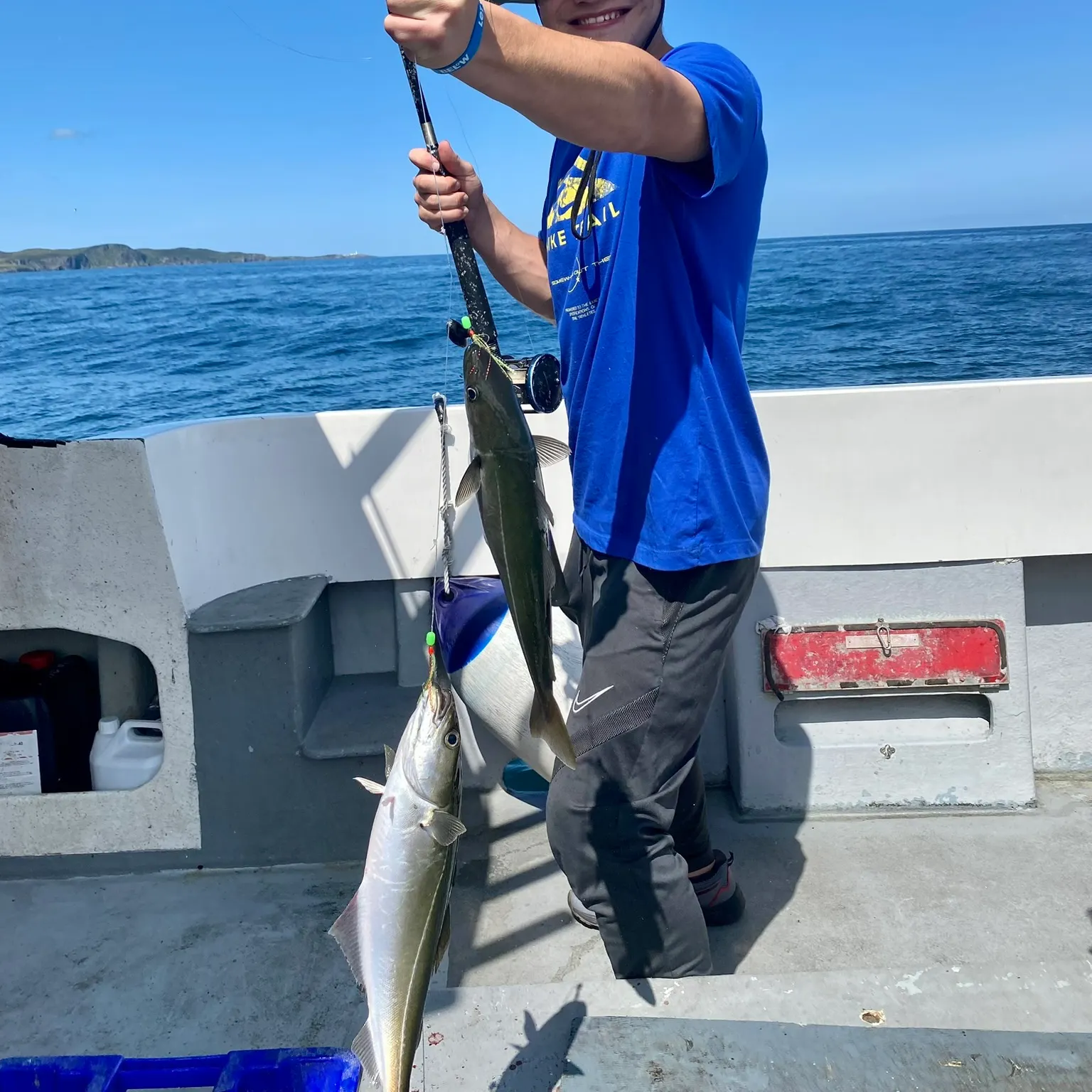 The most recent Atlantic mackerel catches on Fishbrain