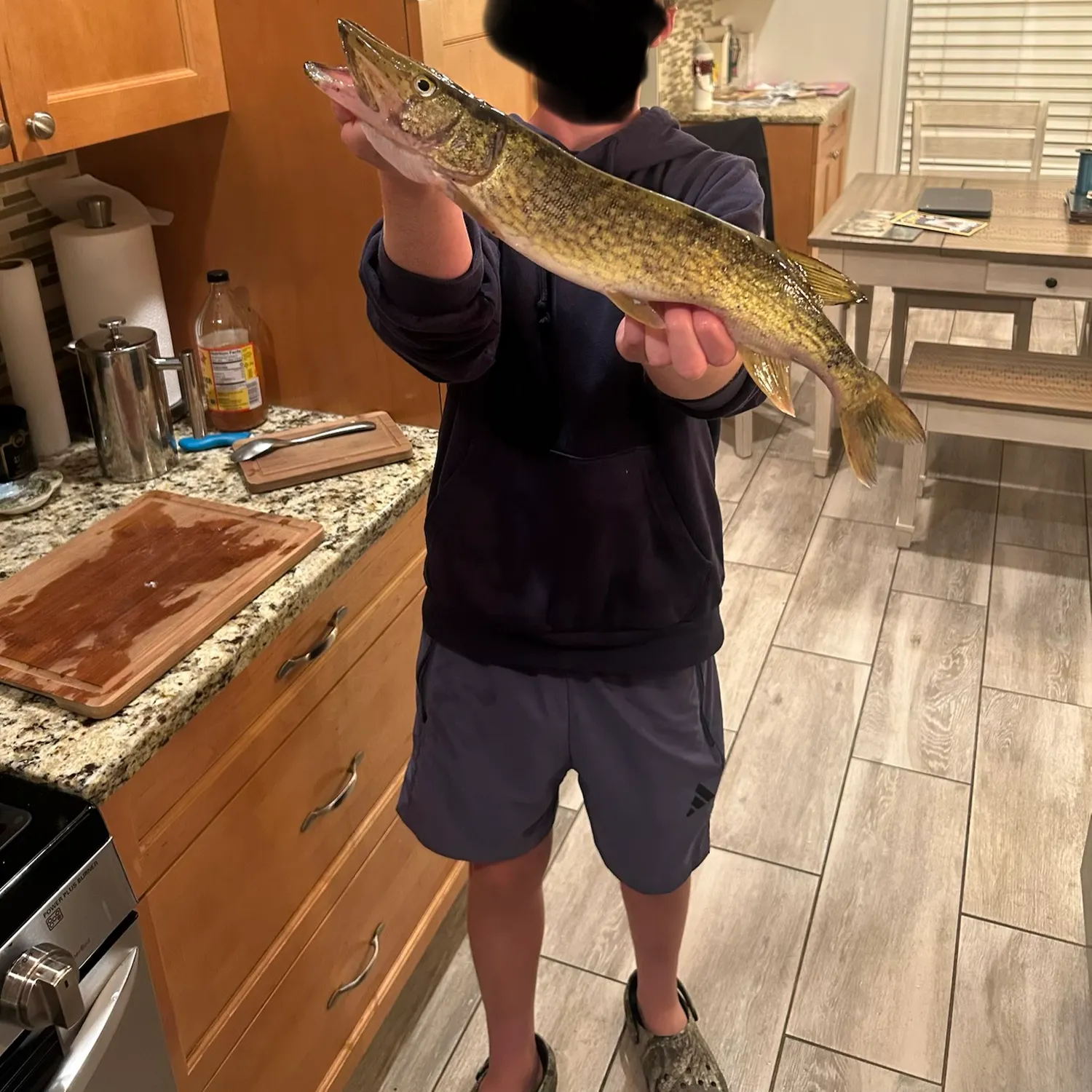 Chain pickerel caught on Fishbrain