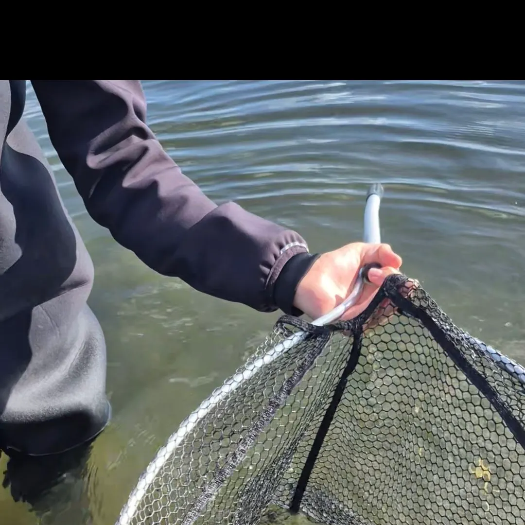 Northern pike caught on Fishbrain