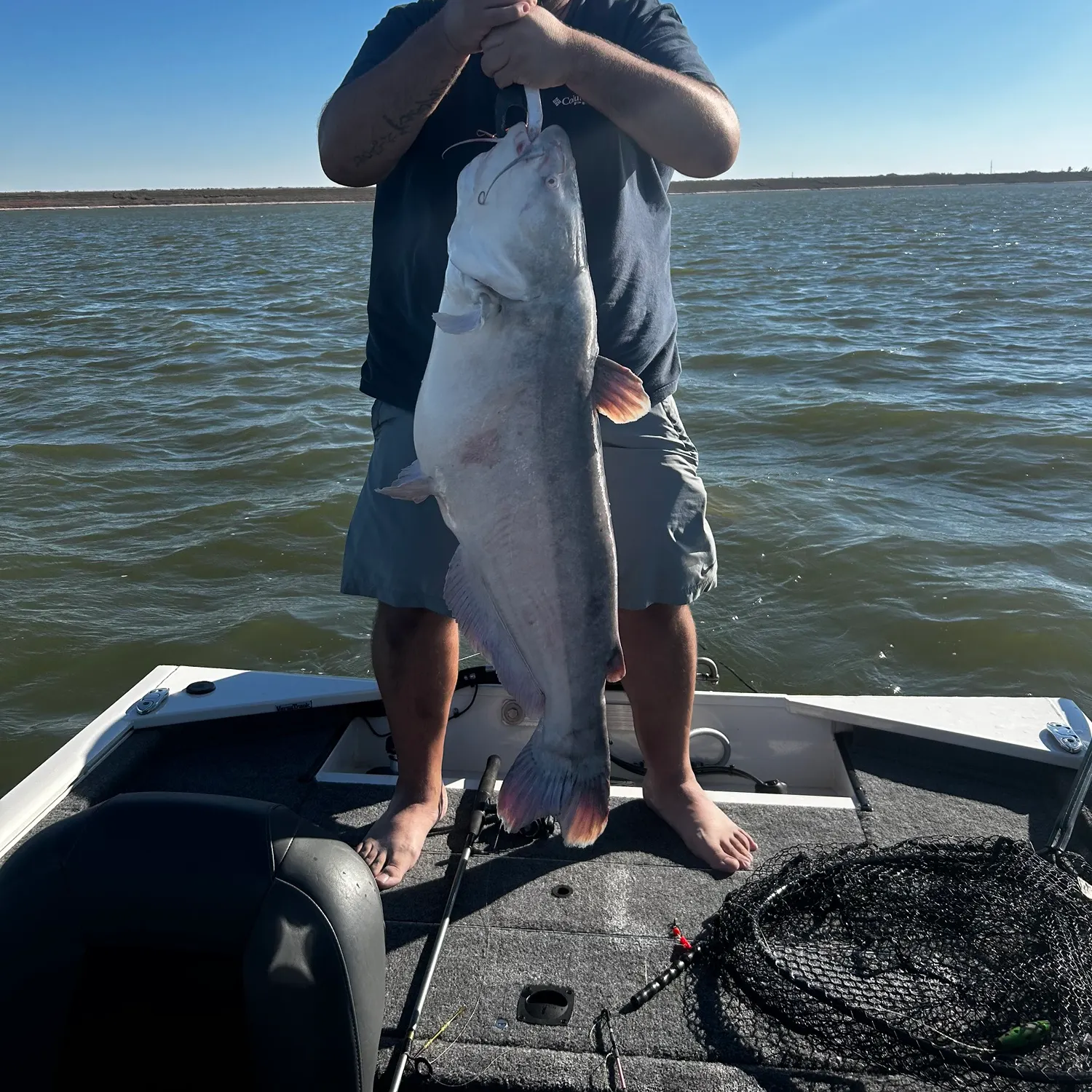 Blue catfish caught on Fishbrain