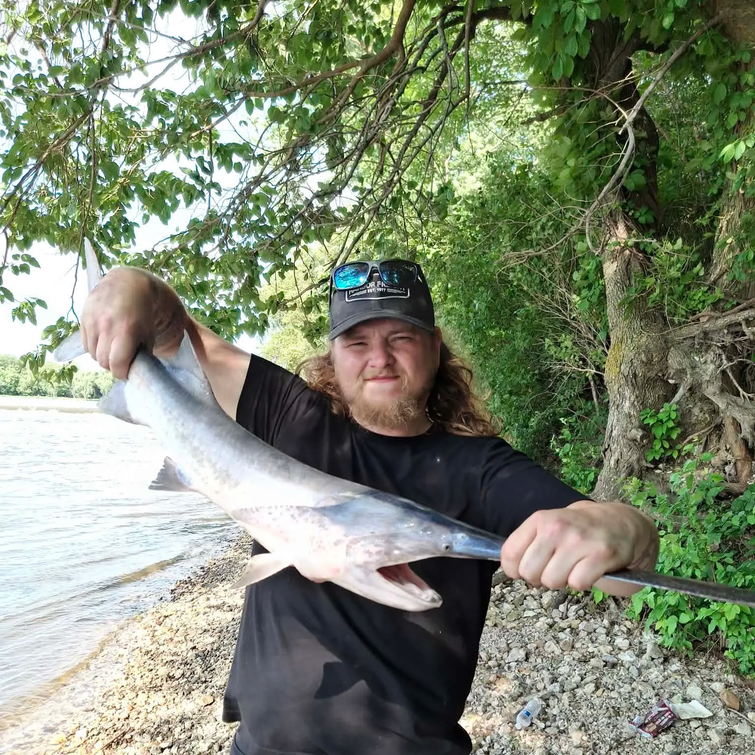 The most recent Paddlefish catches on Fishbrain