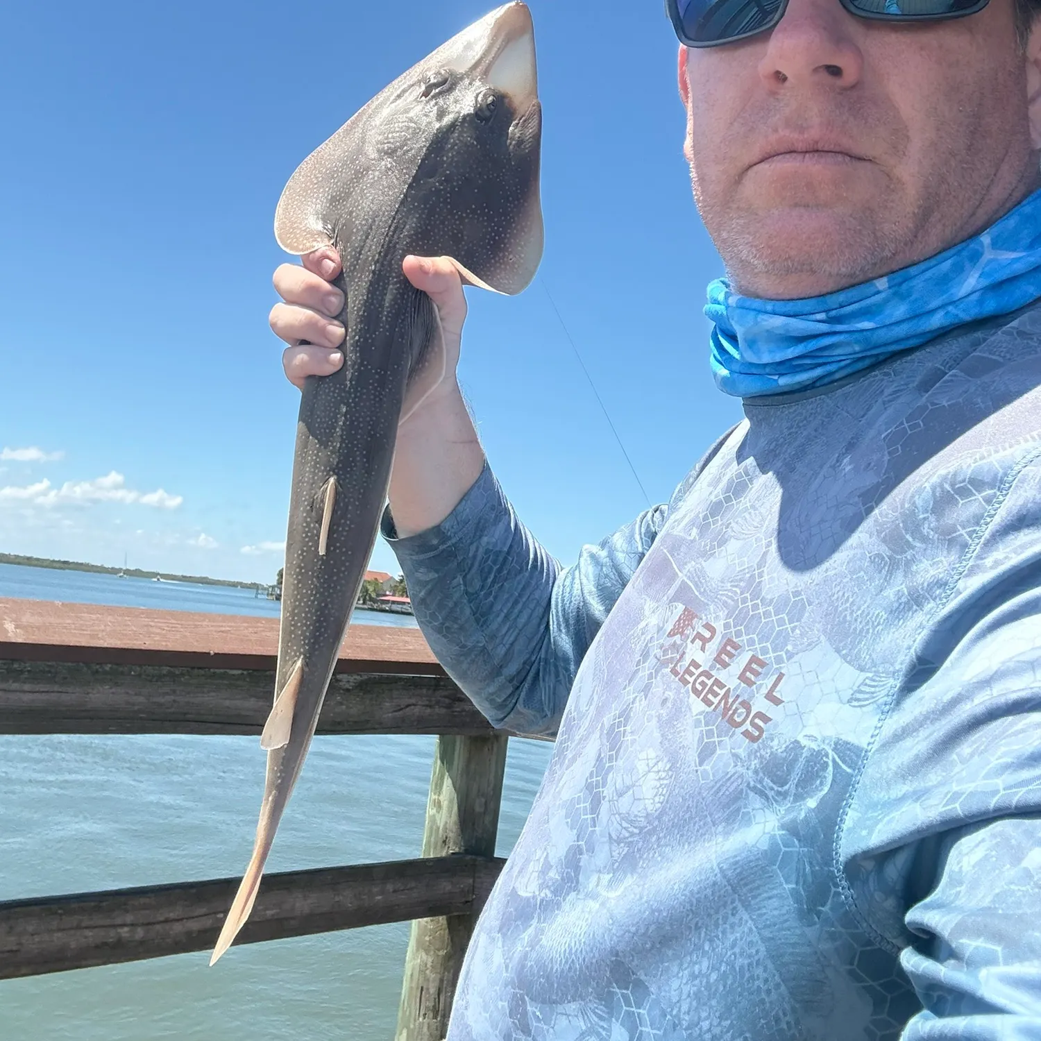 The most recent Common guitarfish catches on Fishbrain
