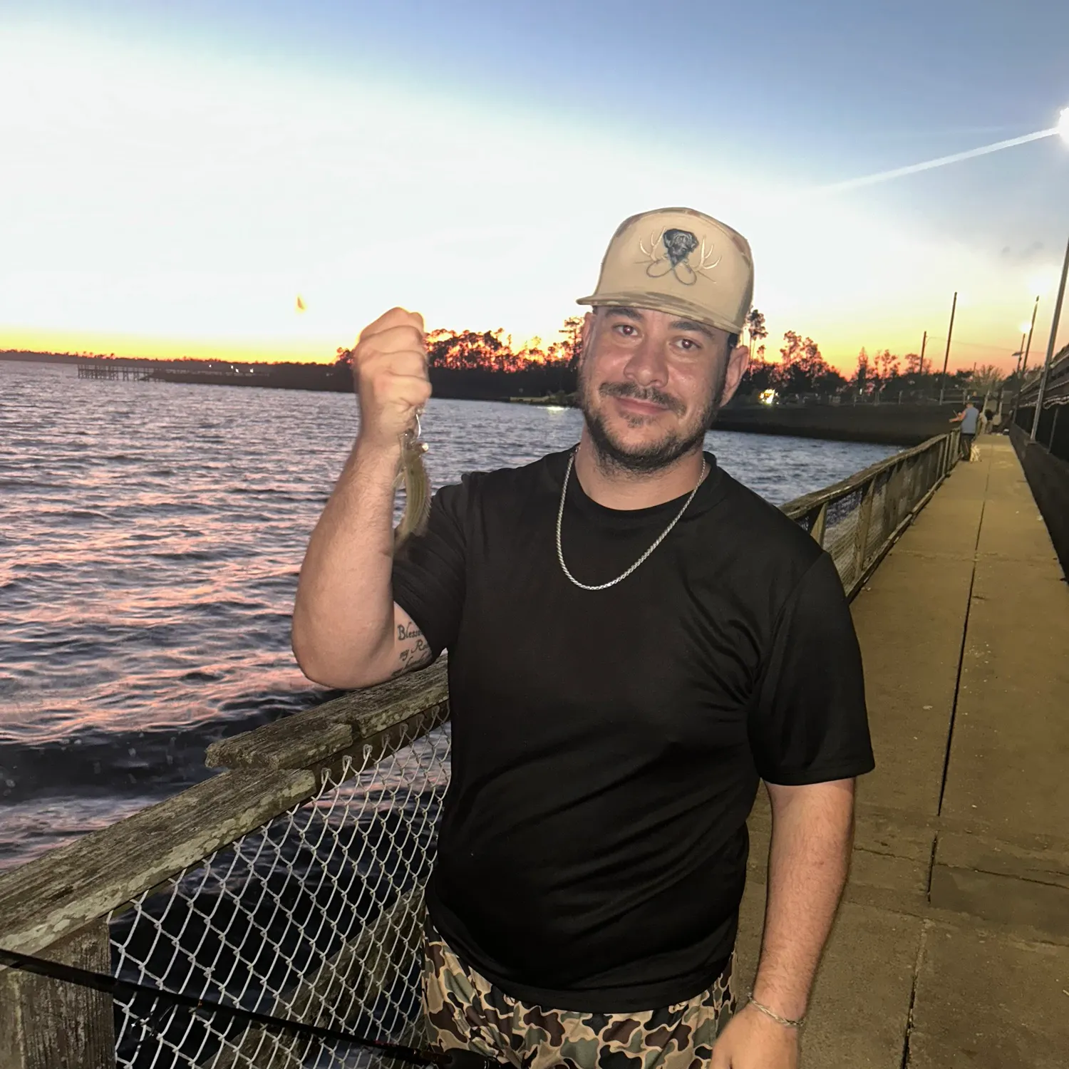 The most recent Pinfish catches on Fishbrain