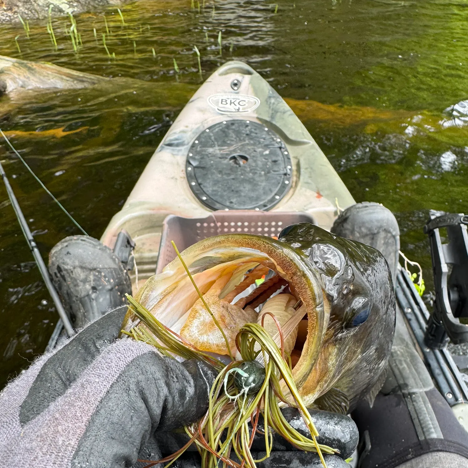 angler catch