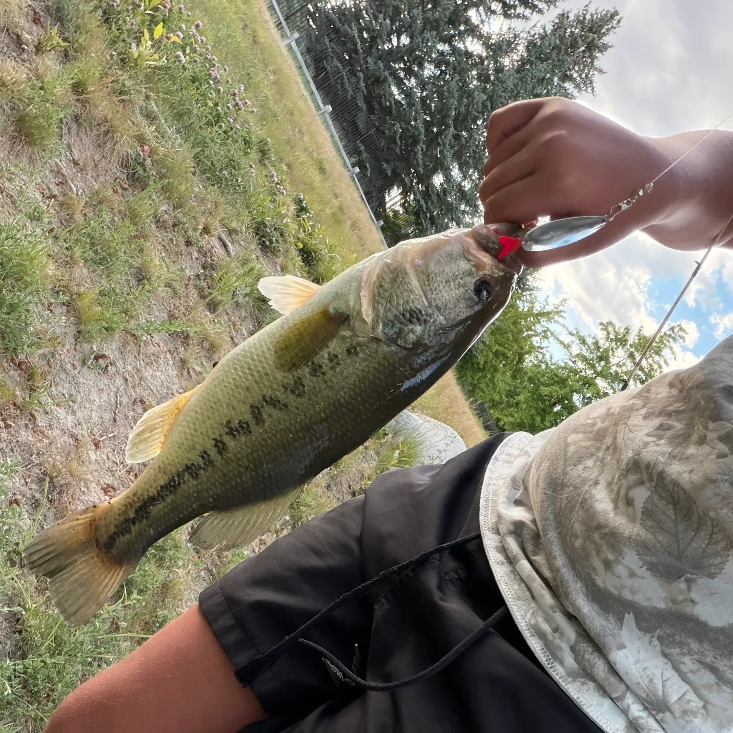 catch