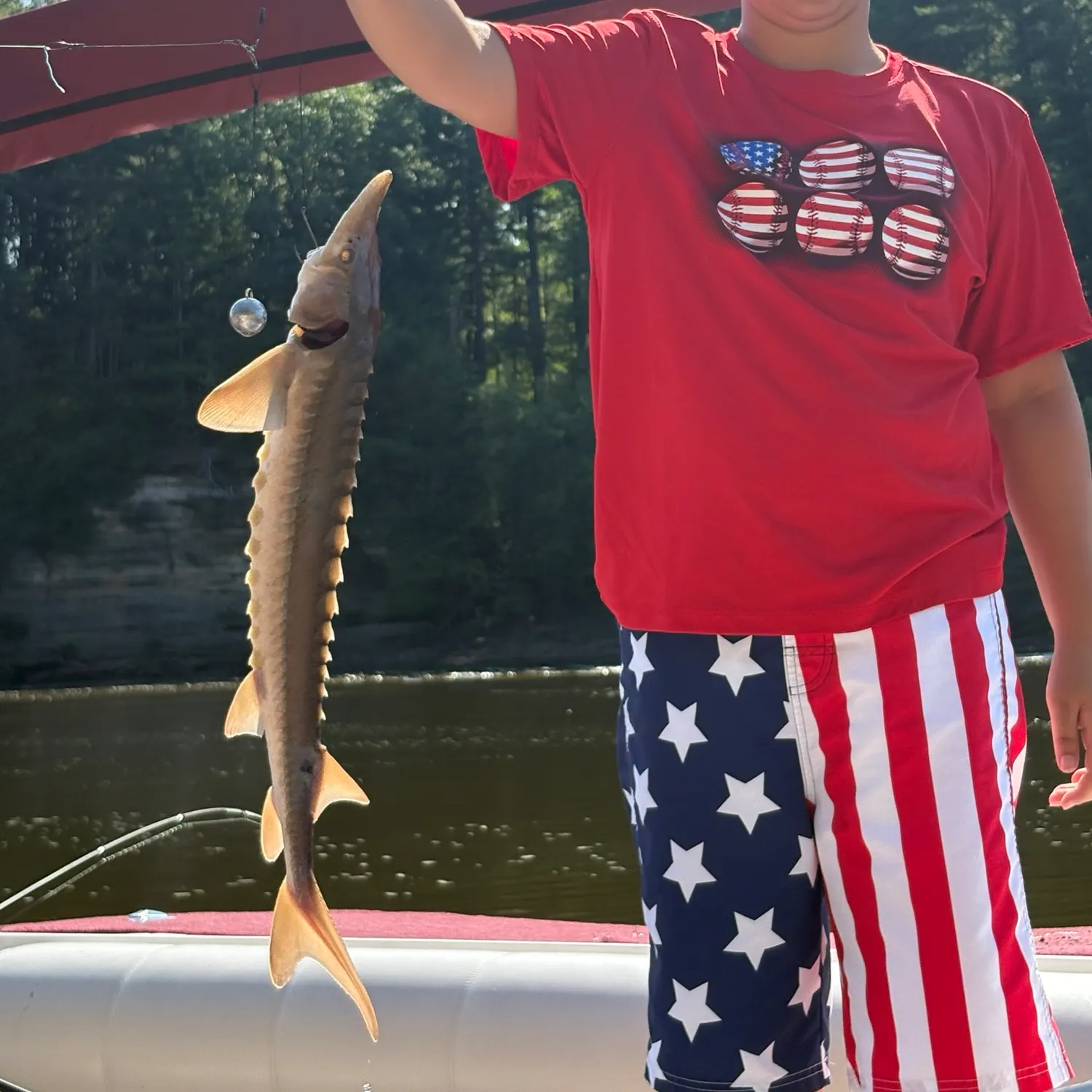 The most recent Lake sturgeon catches on Fishbrain