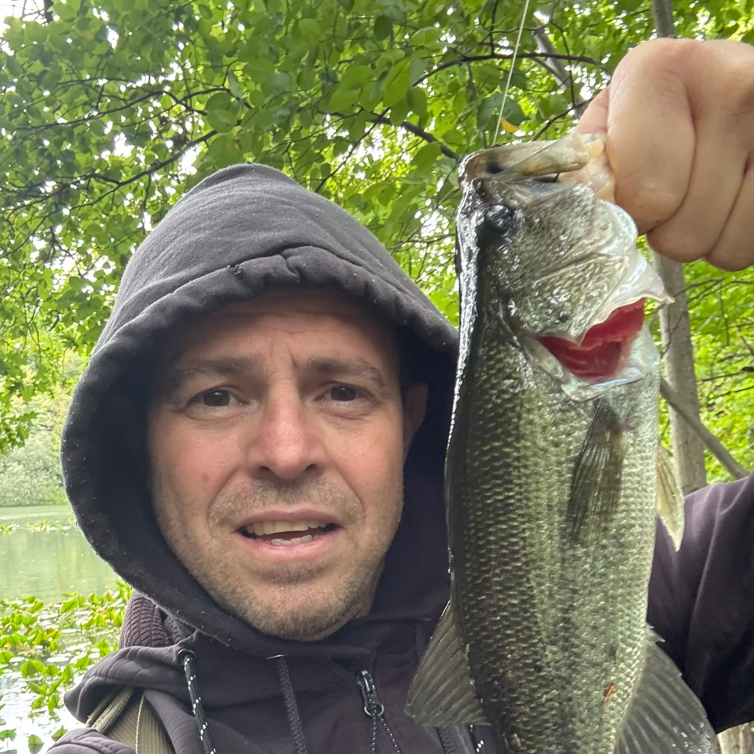 Largemouth bass caught on Fishbrain