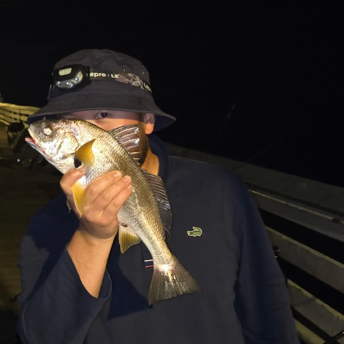 The most recent Spotfin croaker catches on Fishbrain