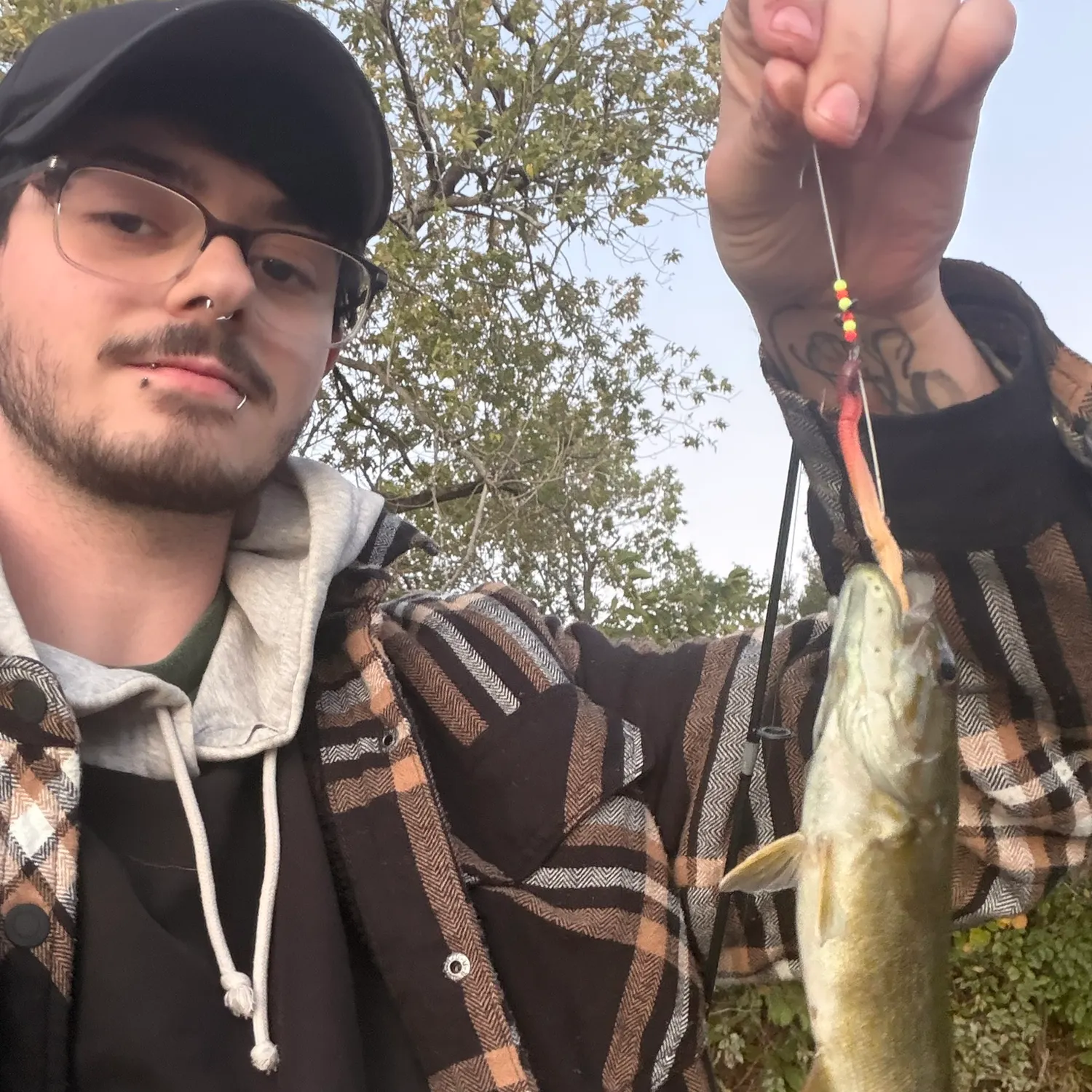 Smallmouth bass caught on Fishbrain