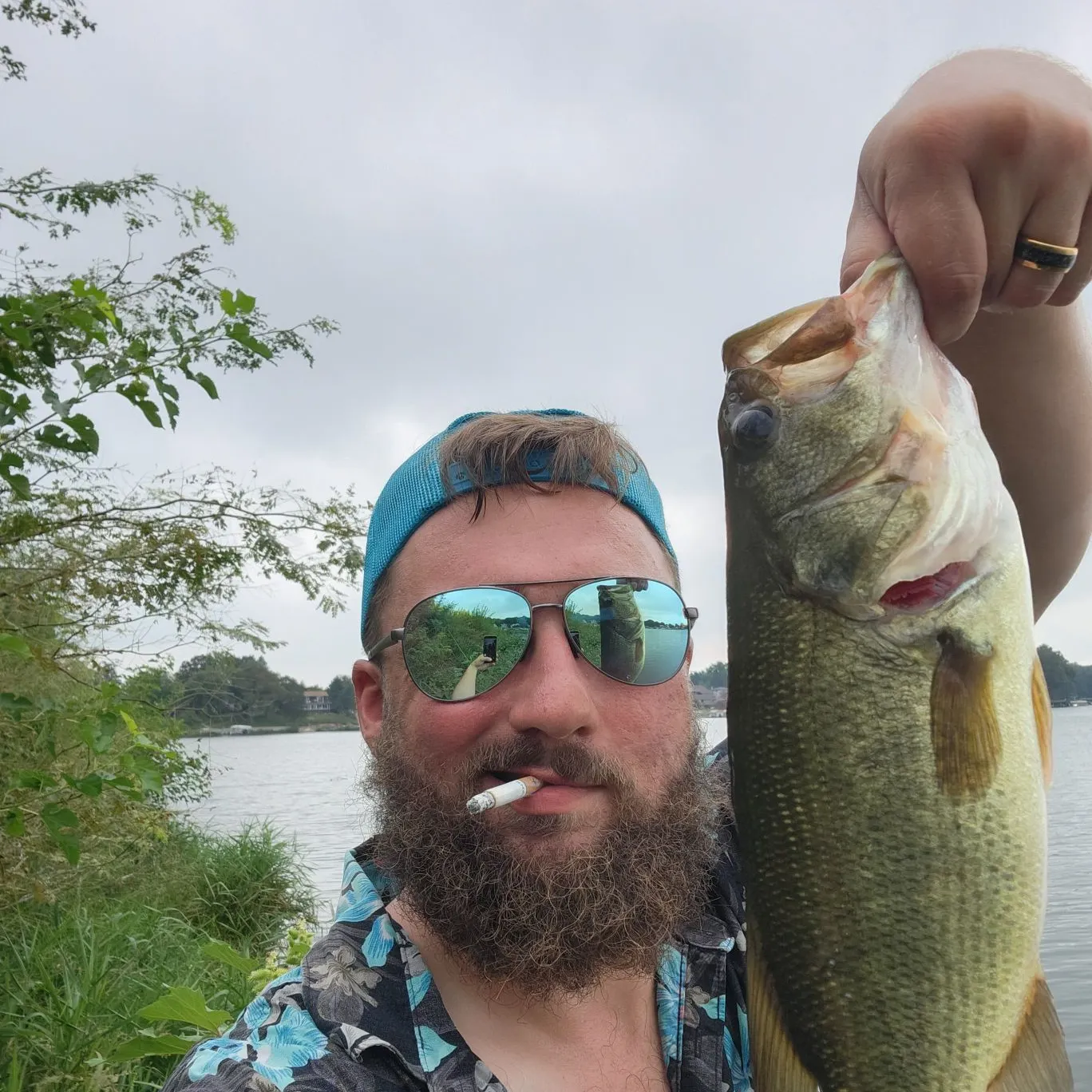 Largemouth bass caught on Fishbrain