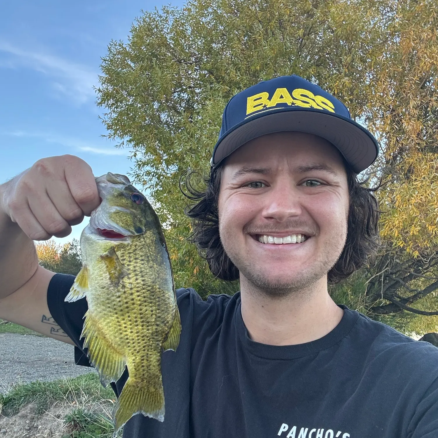 Rock bass caught on Fishbrain
