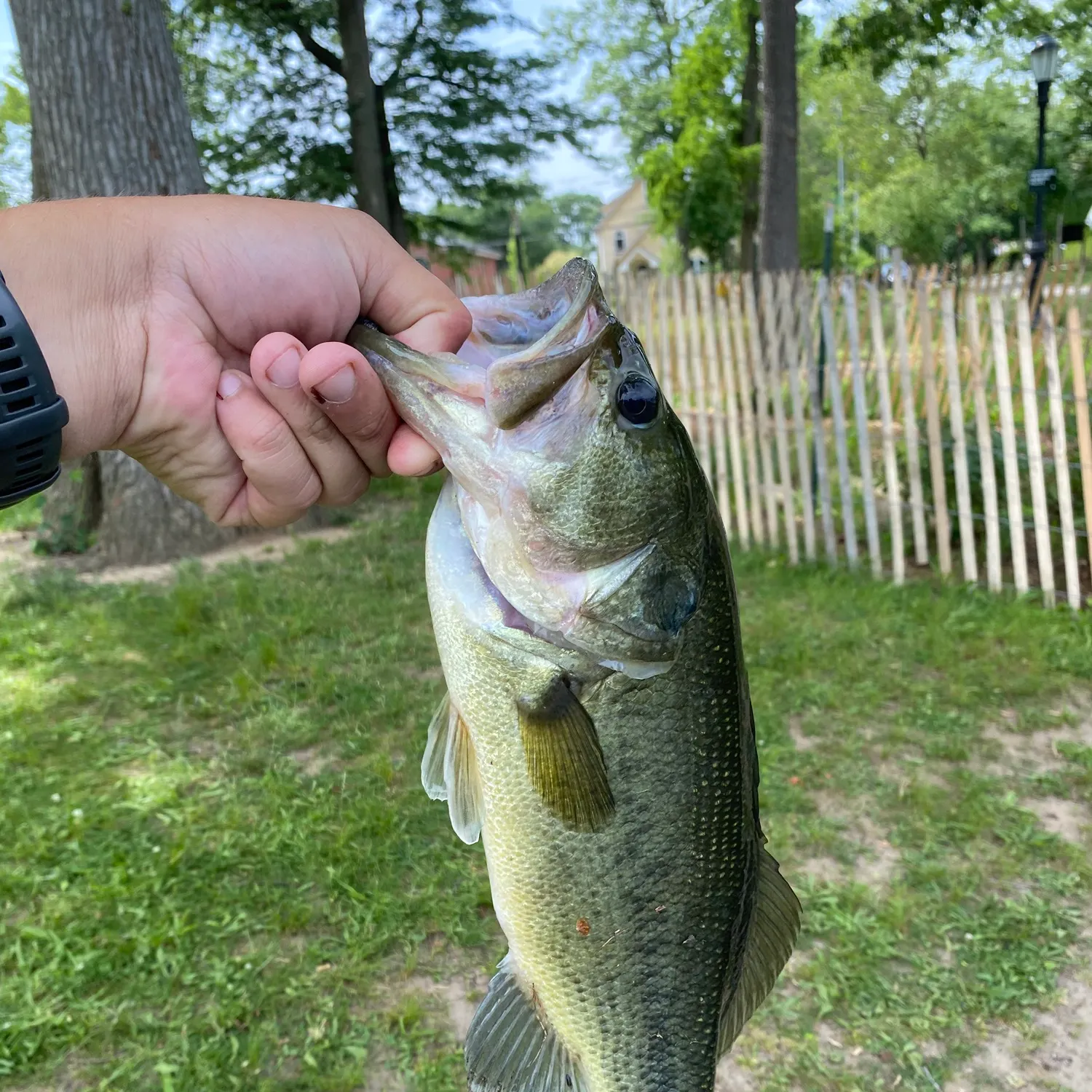 catch
