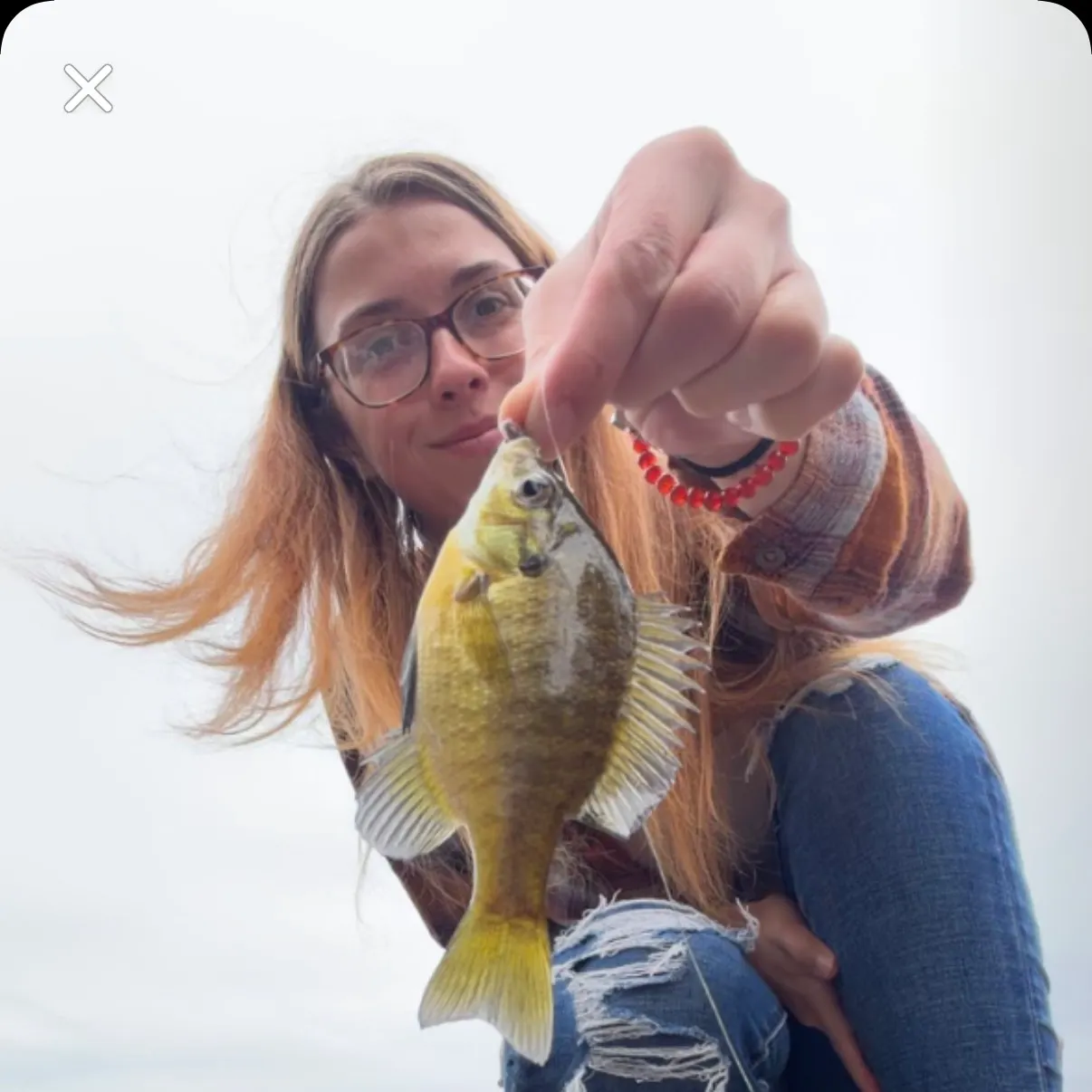 Bluegill caught on Fishbrain