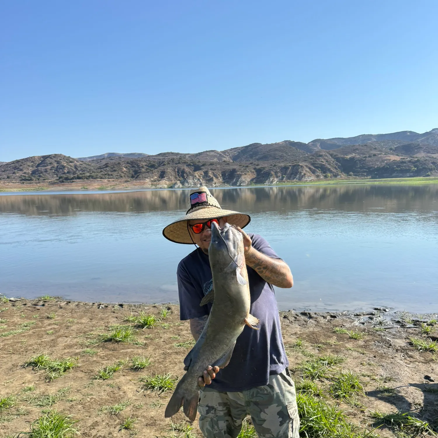 Flathead catfish caught on Fishbrain