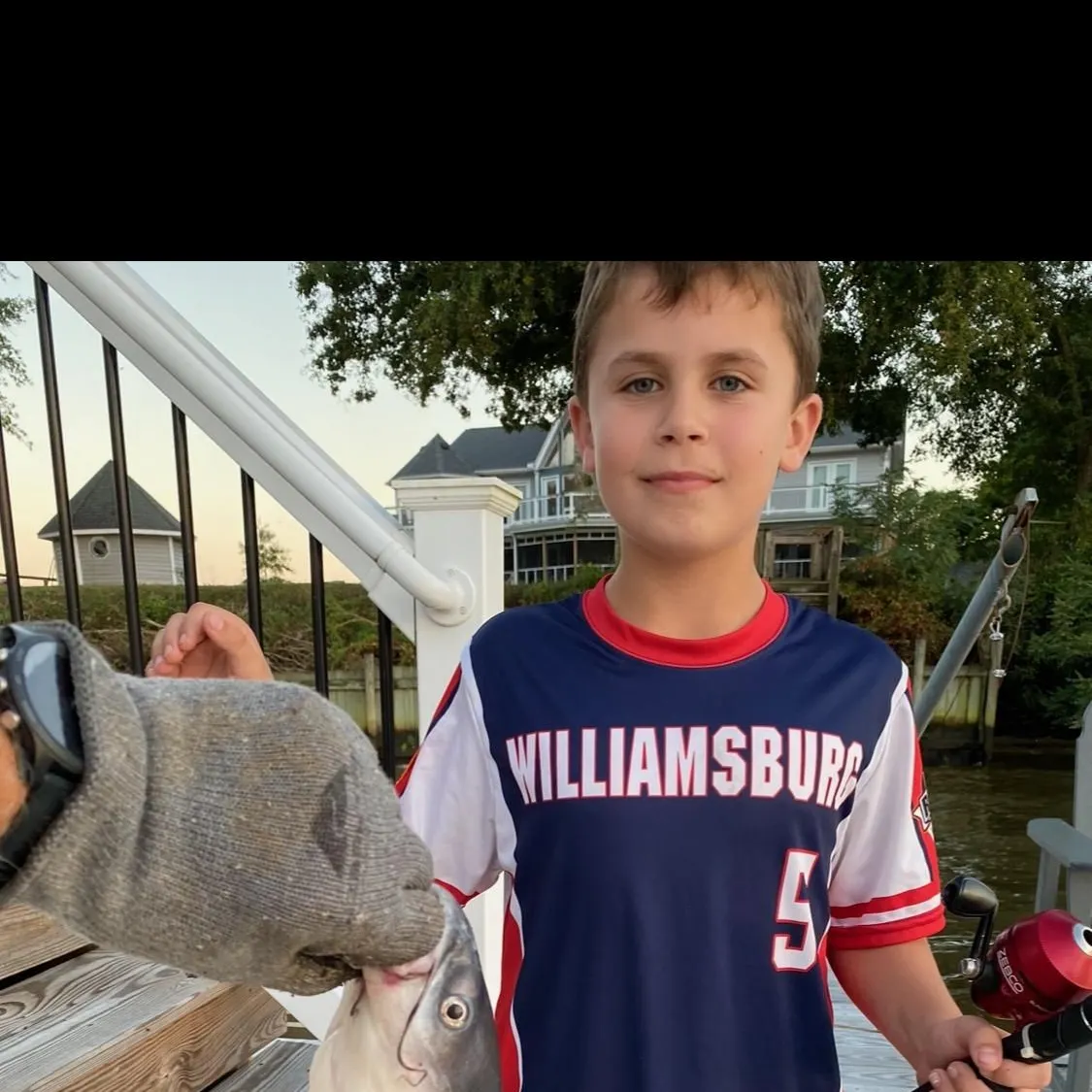 Blue catfish caught on Fishbrain