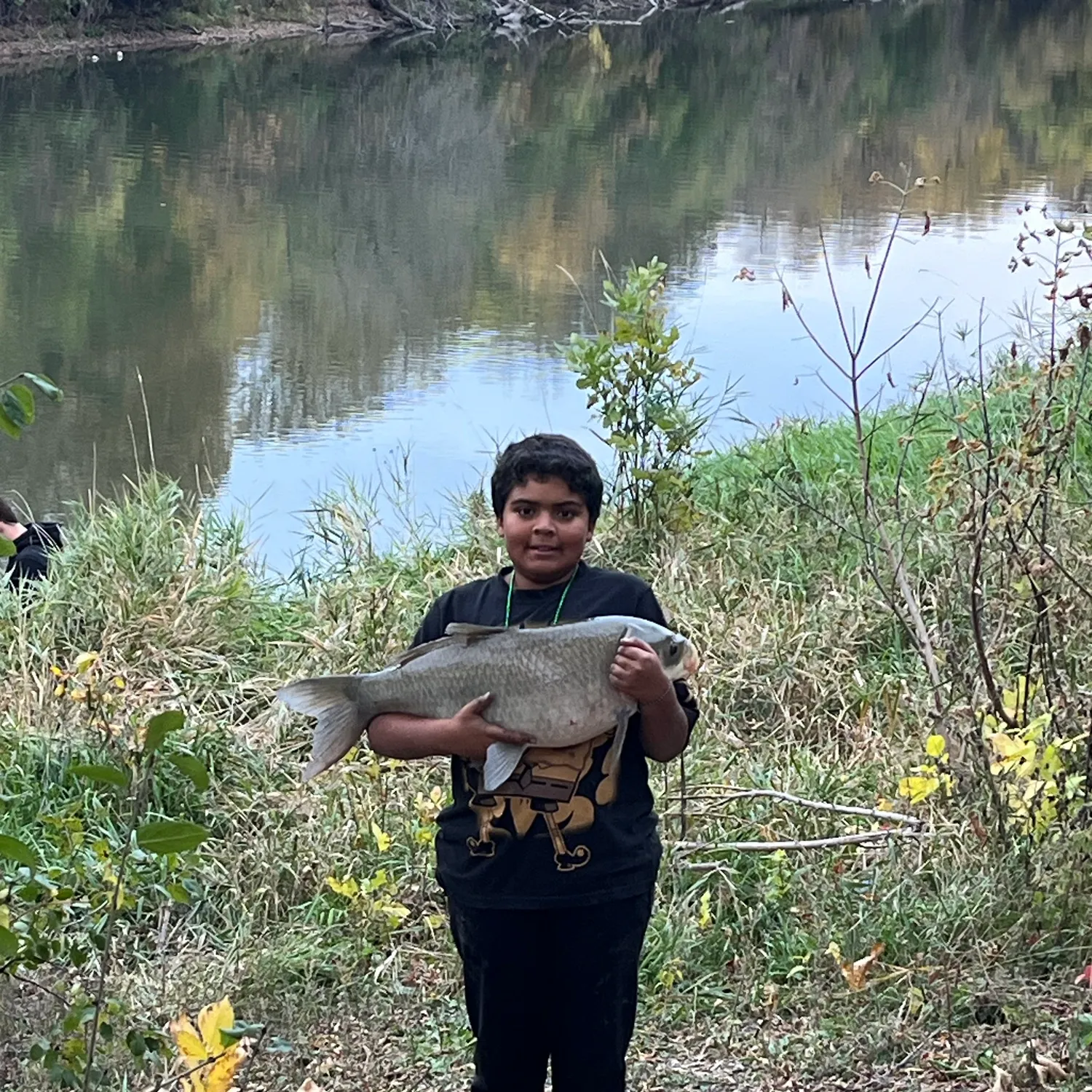 Common carp caught on Fishbrain