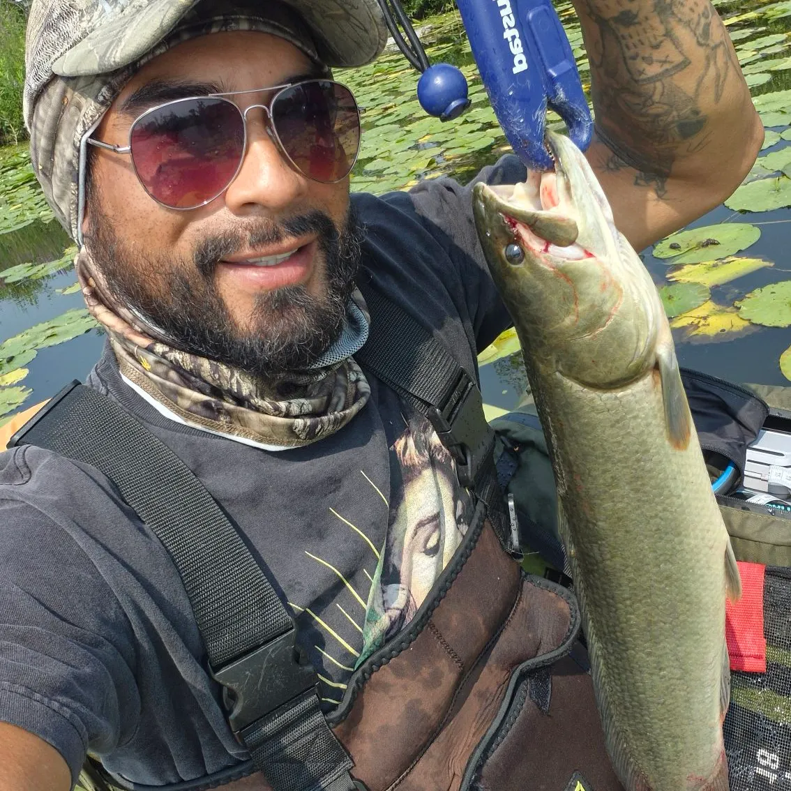 recently logged catches