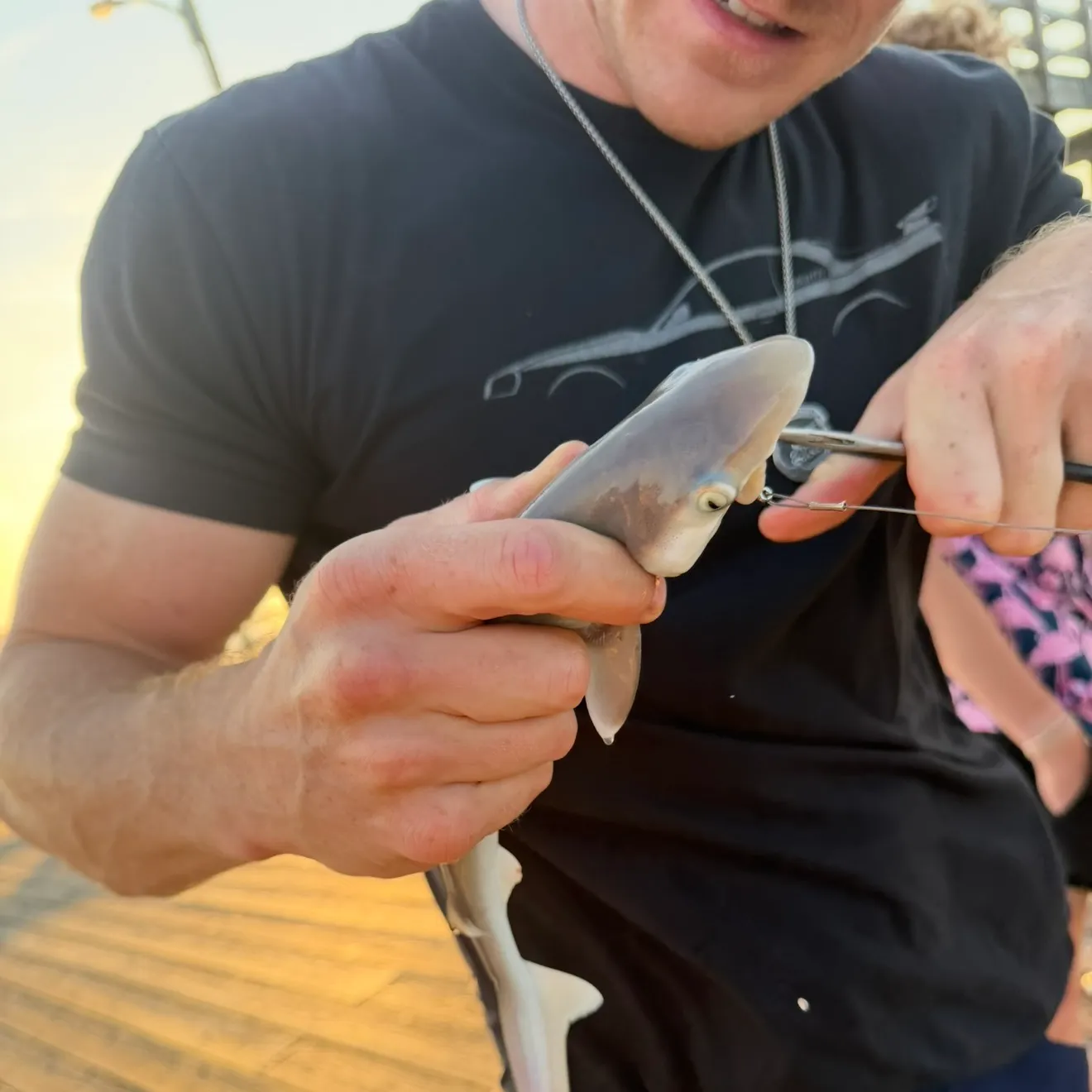 The most recent Atlantic sharpnose shark catches on Fishbrain