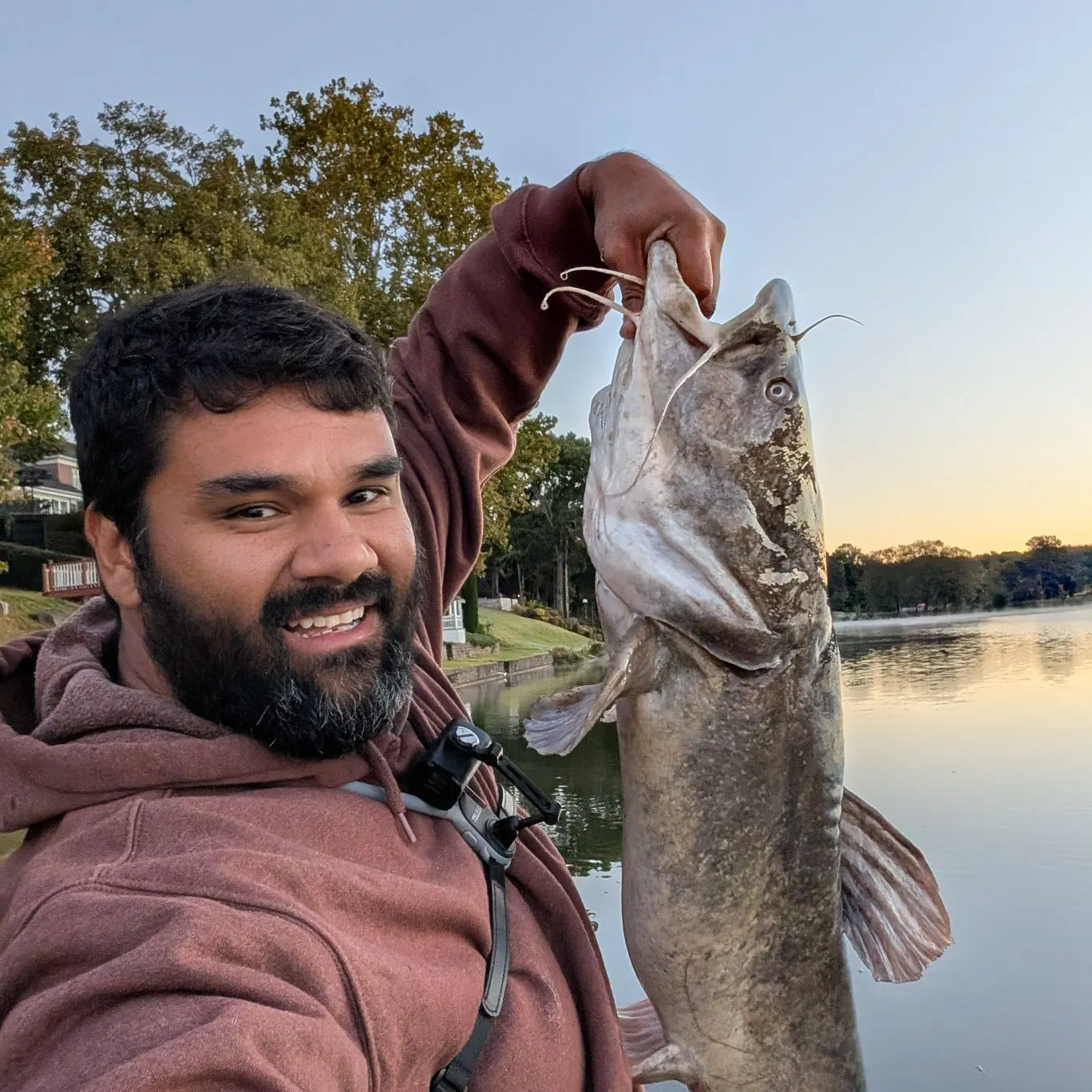 Flathead catfish caught on Fishbrain