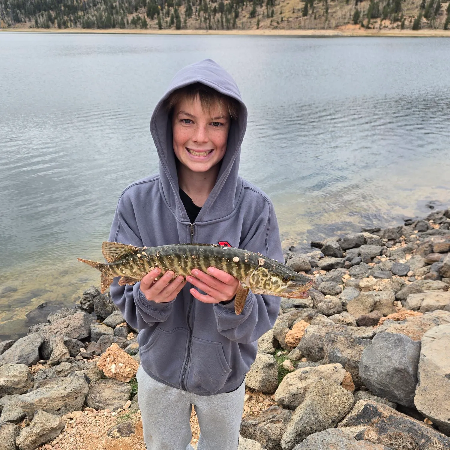 The most recent Tiger muskie catches on Fishbrain