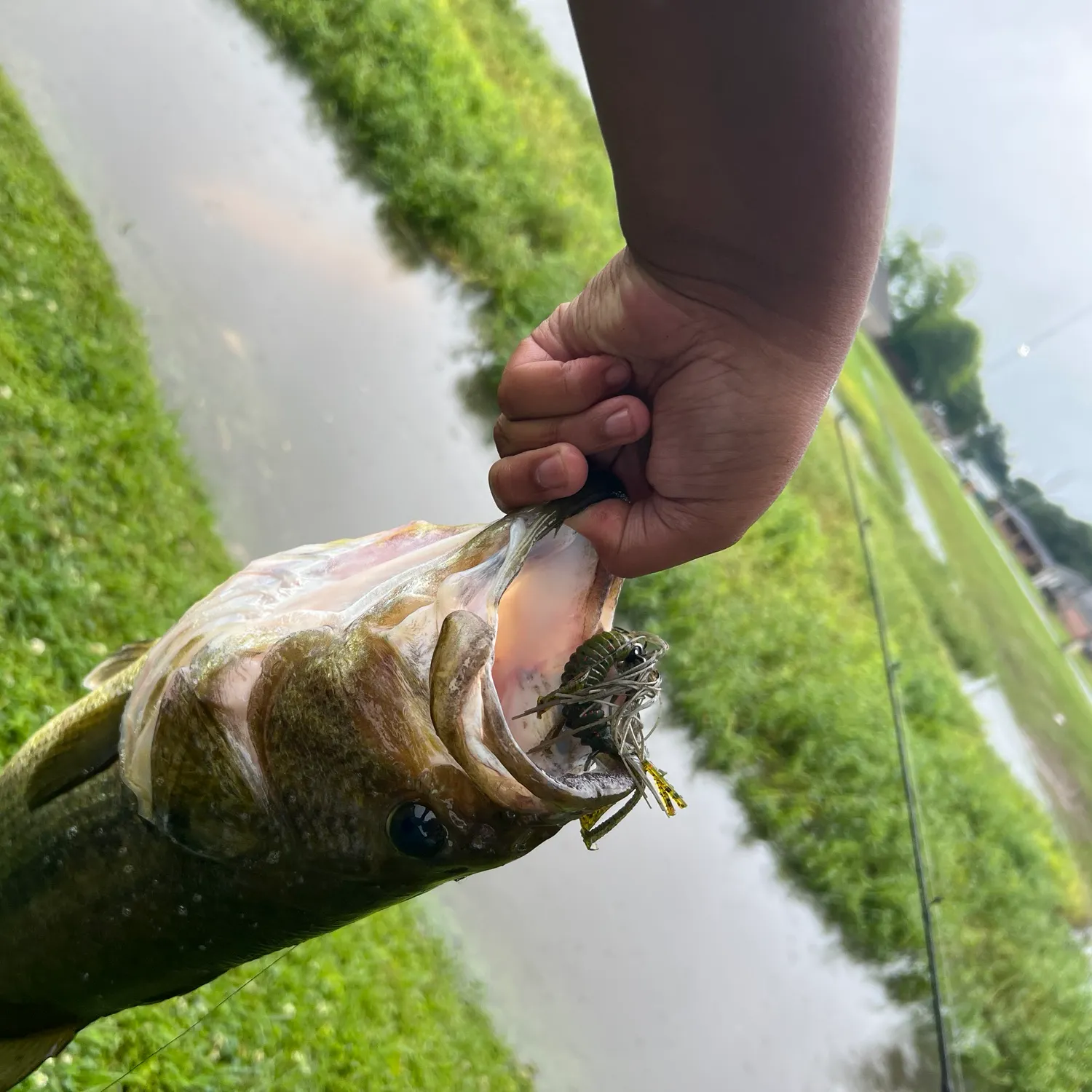 catch