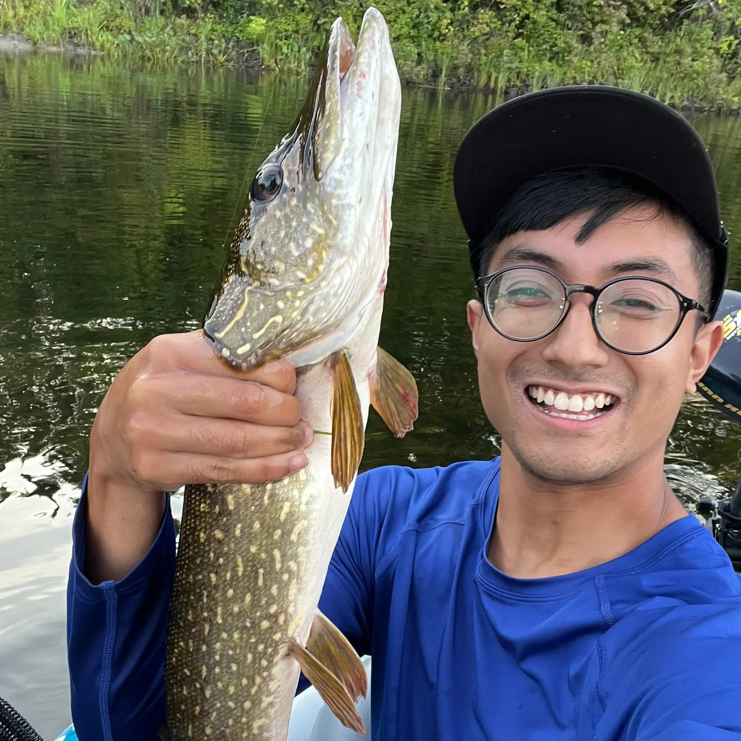 Northern pike caught on Fishbrain