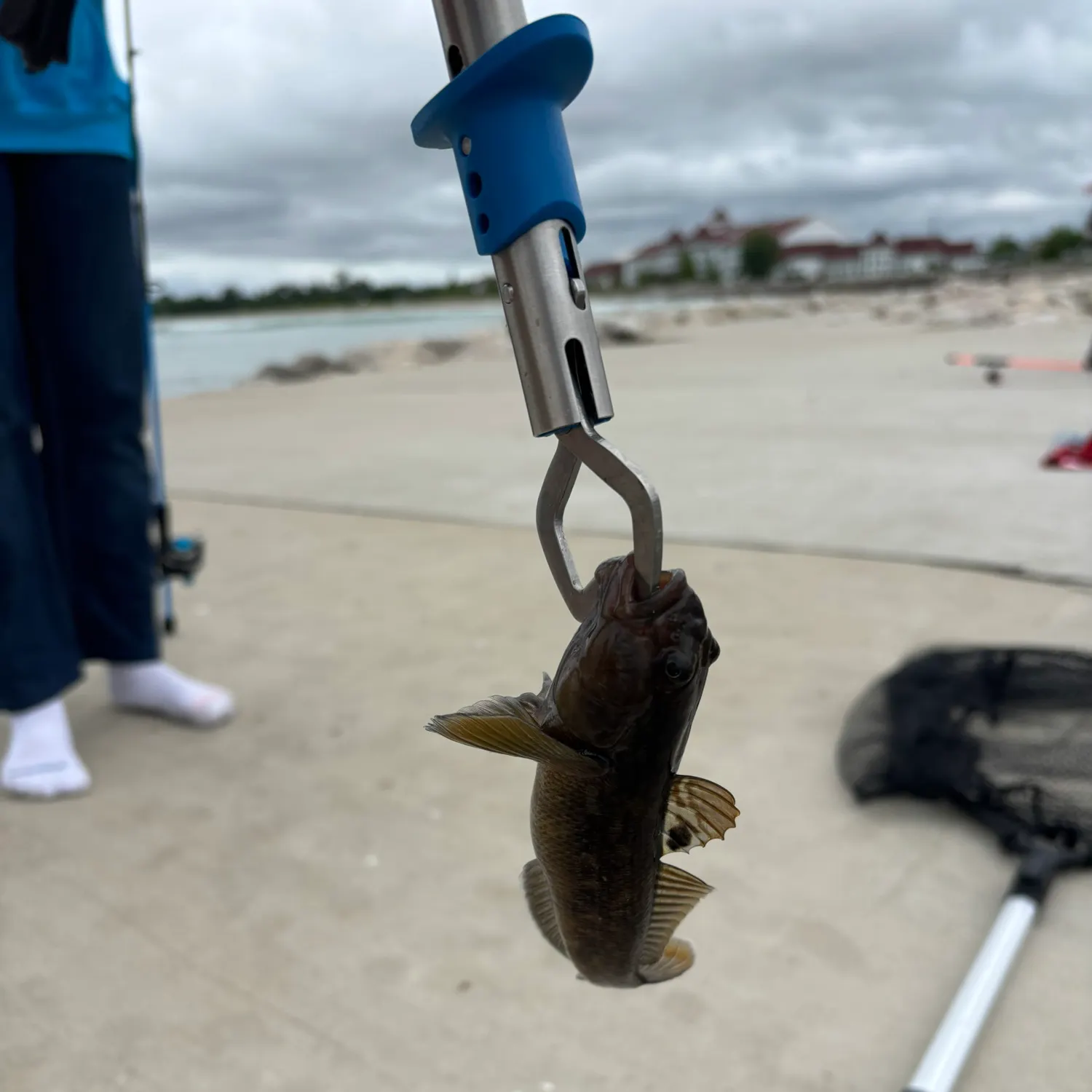 The most recent Round goby catches on Fishbrain