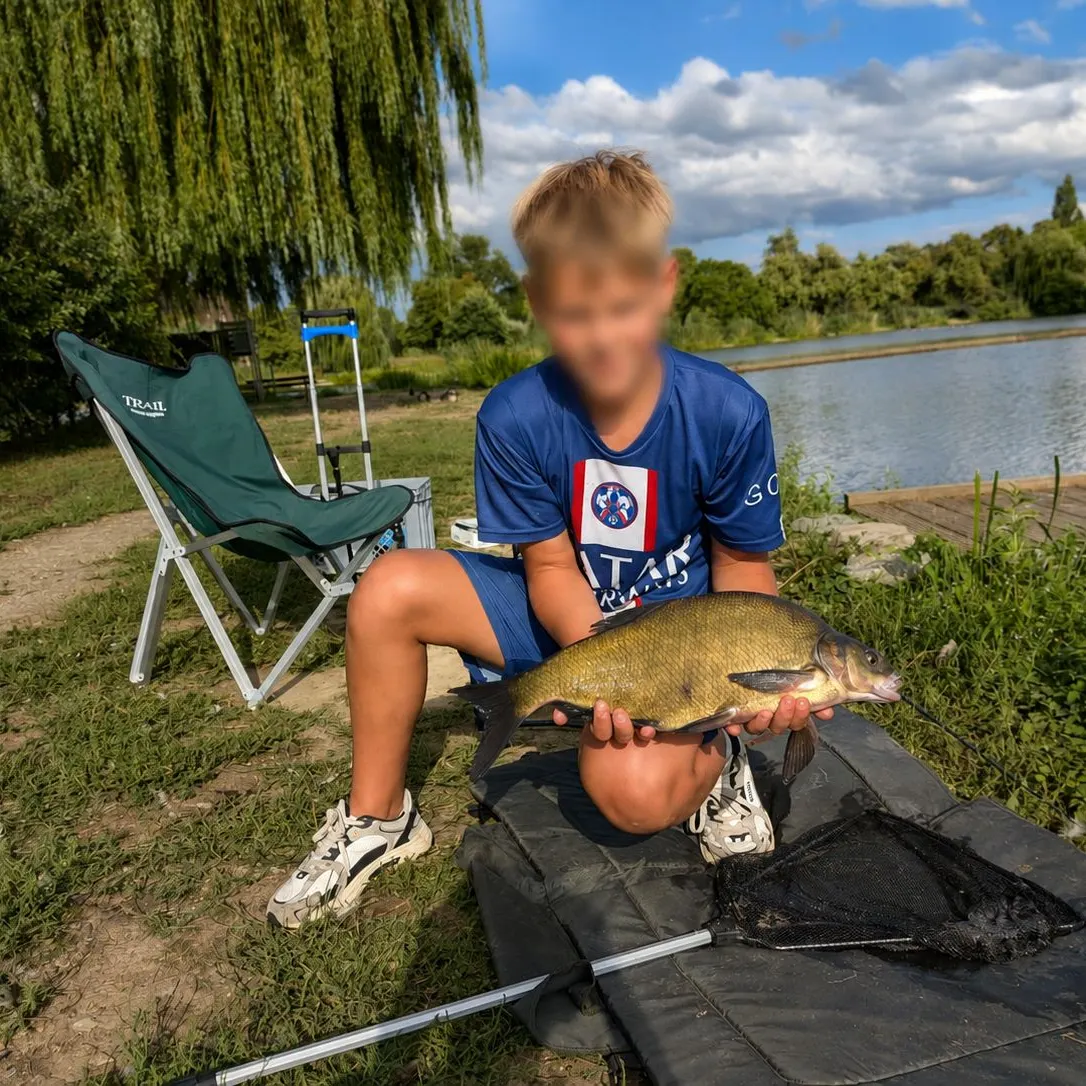 Common bream caught on Fishbrain