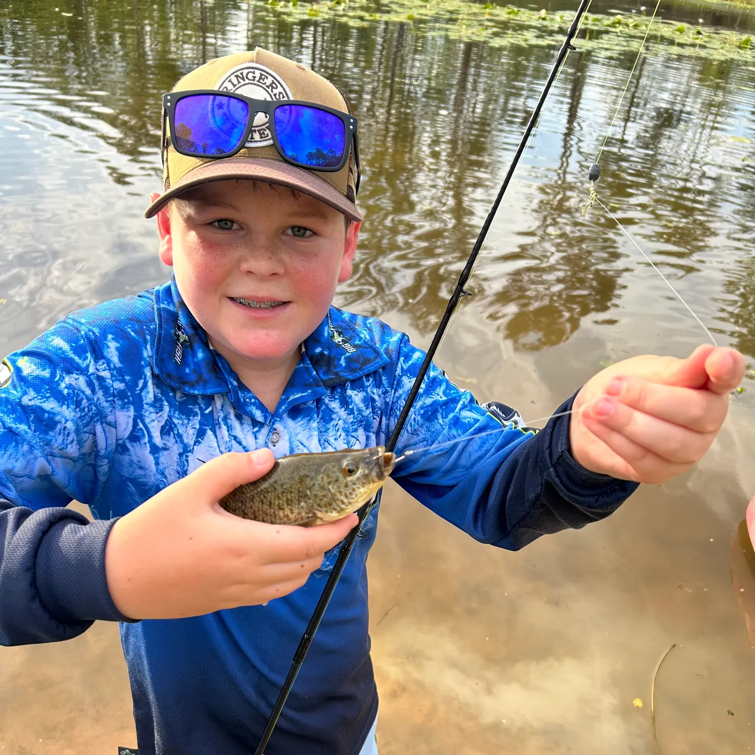 The most recent Yellowbelly pirate perch catches on Fishbrain