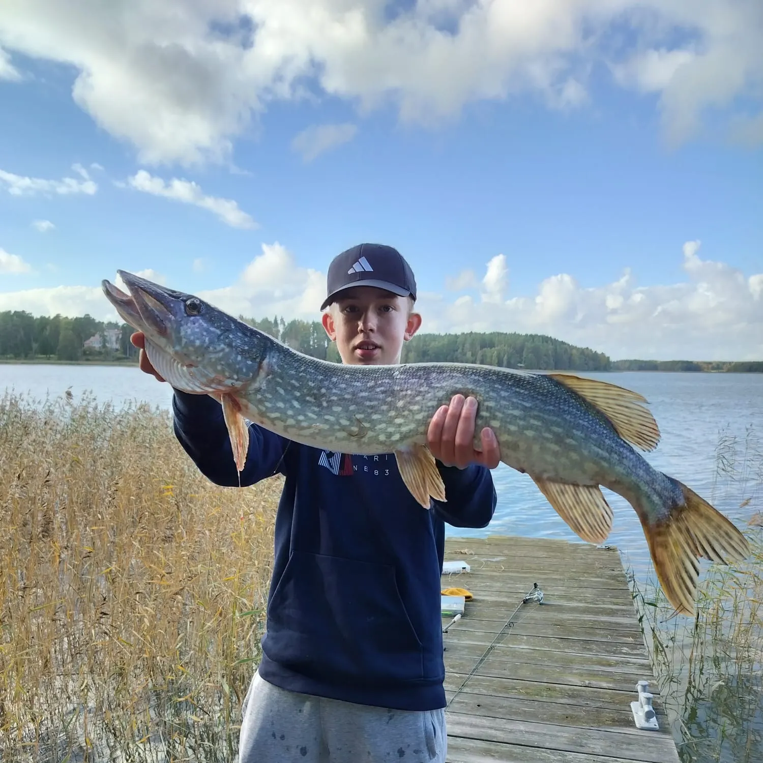 Northern pike caught on Fishbrain