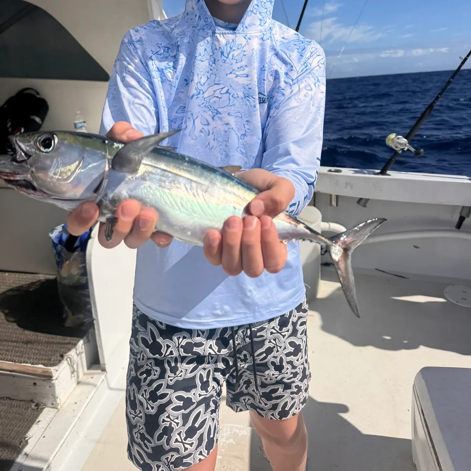 The most recent Blackfin tuna catches on Fishbrain