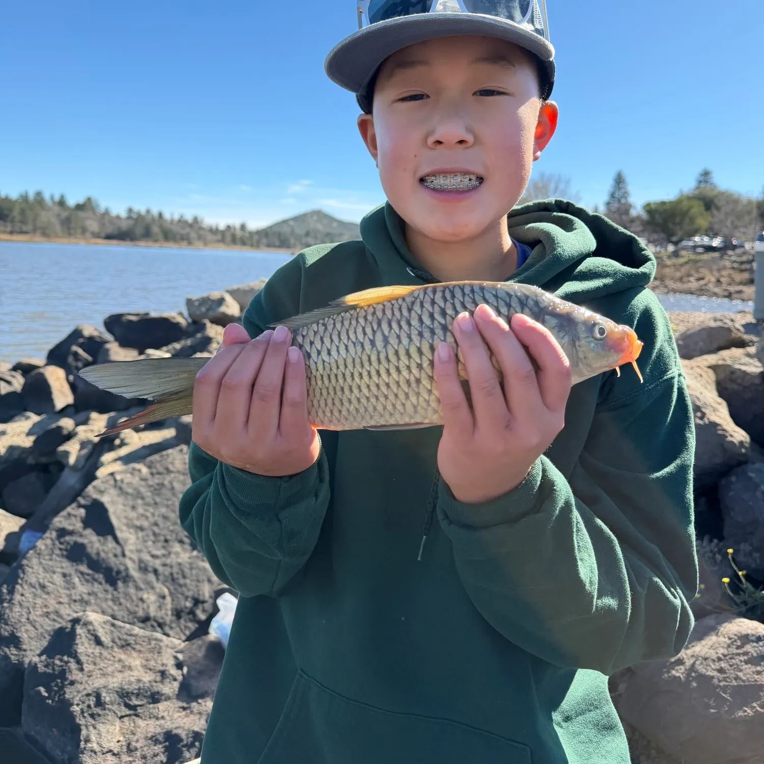 The most recent Common carp catches on Fishbrain