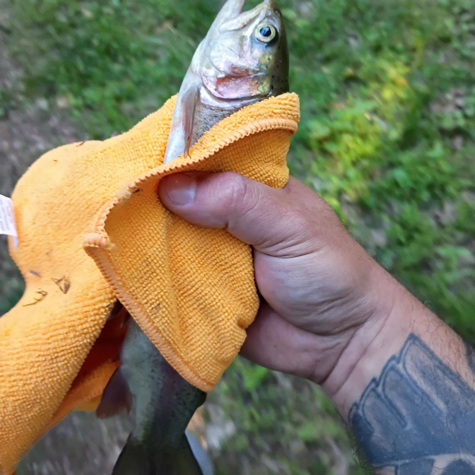 catch