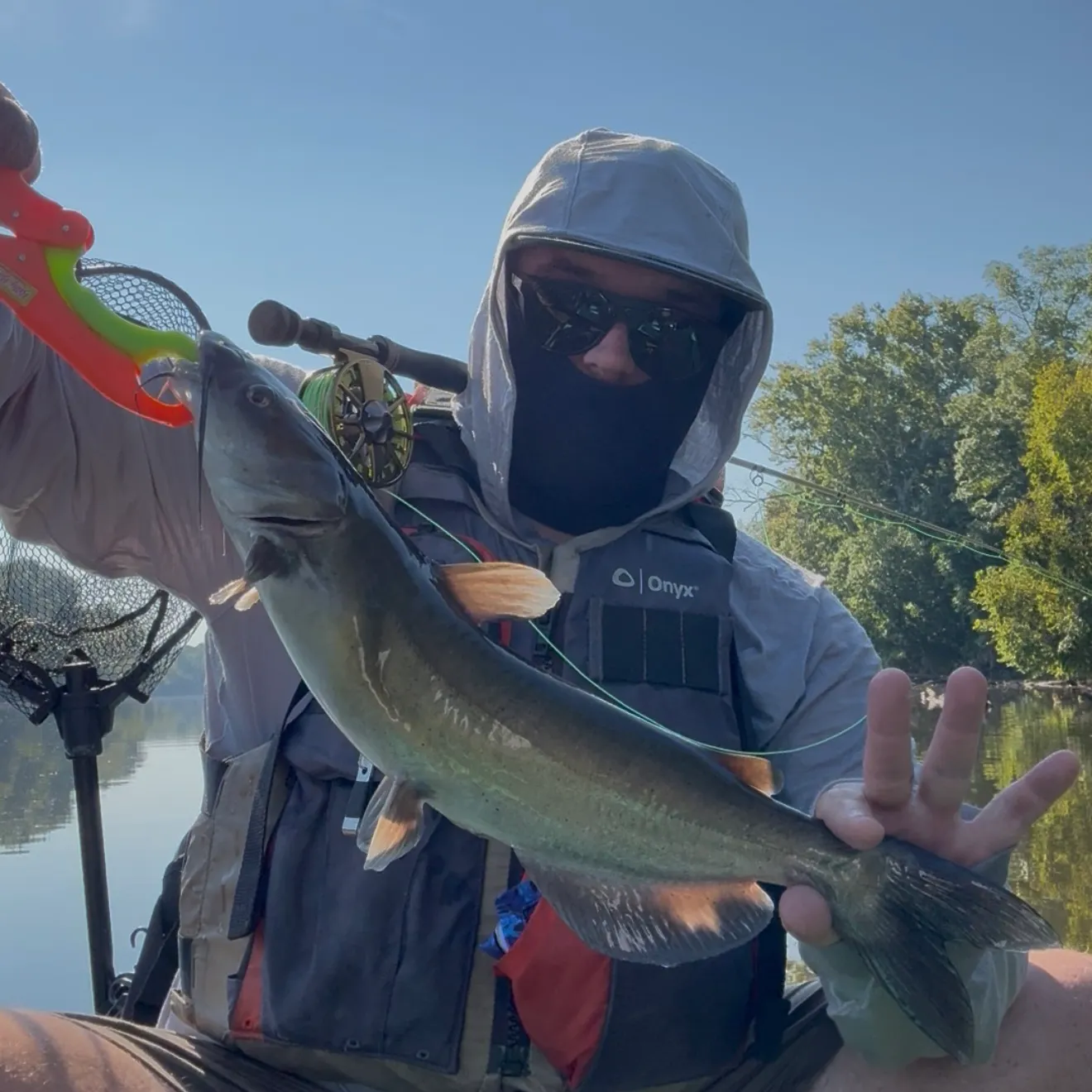Channel catfish caught on Fishbrain