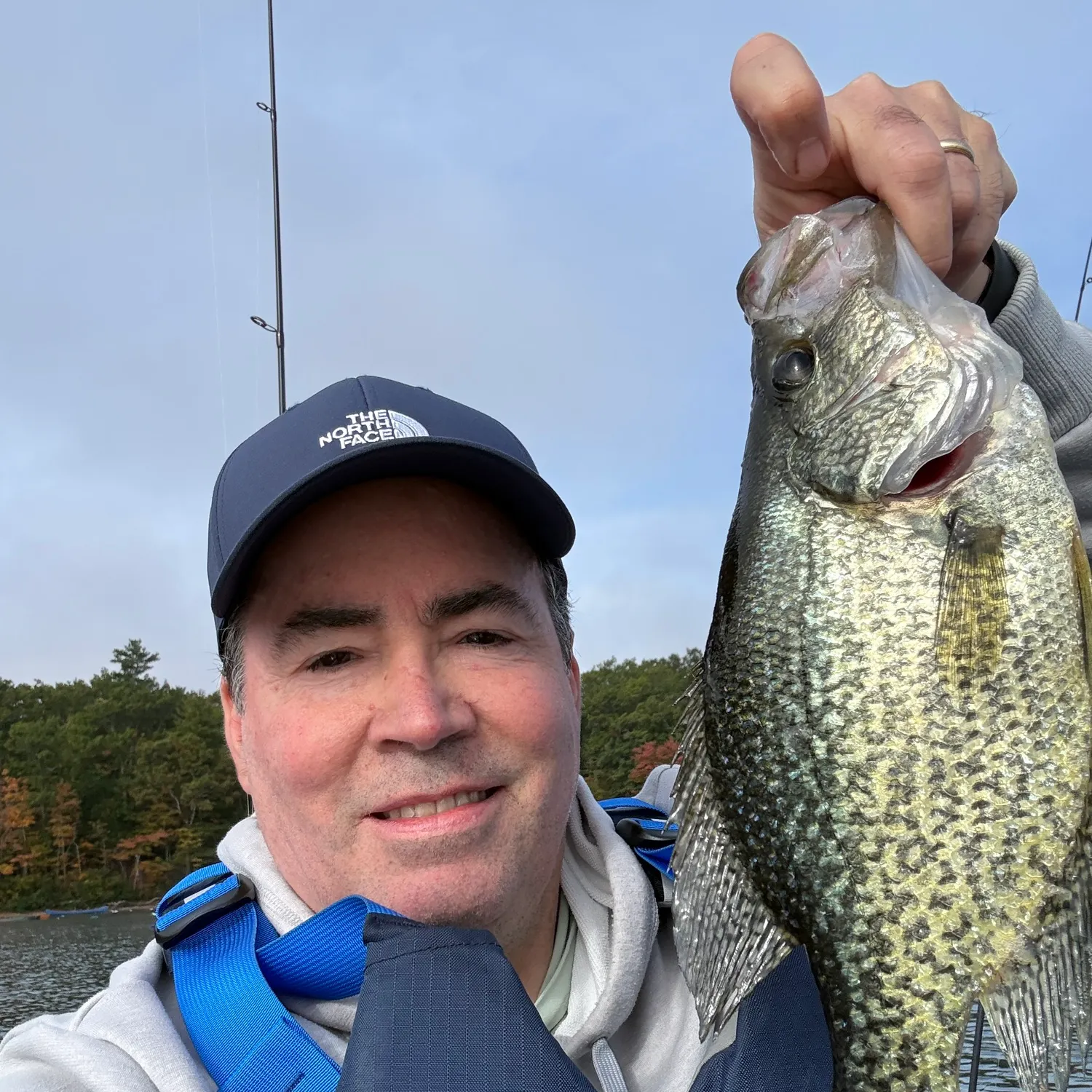 Black crappie caught on Fishbrain