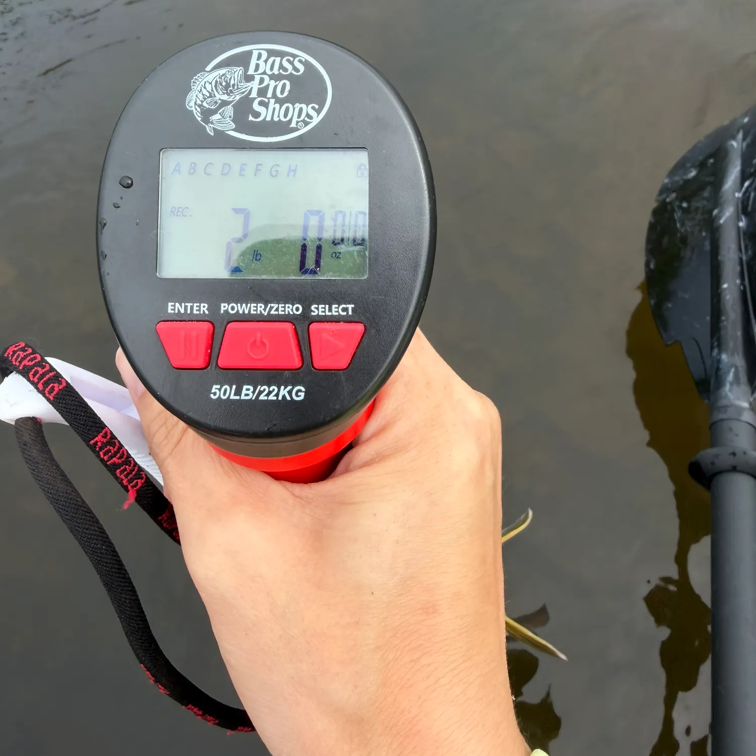 Smallmouth bass caught on Fishbrain