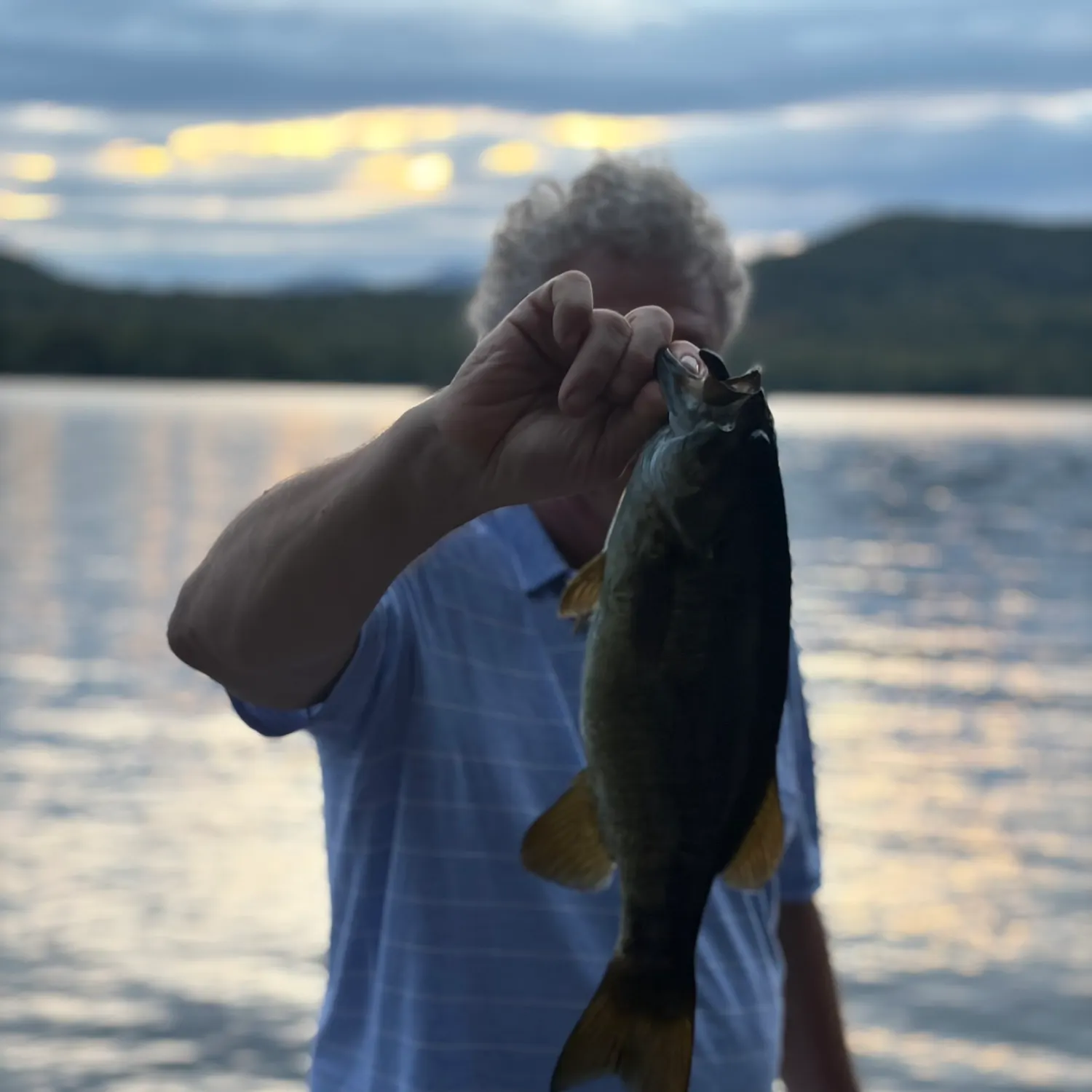 Smallmouth bass caught on Fishbrain