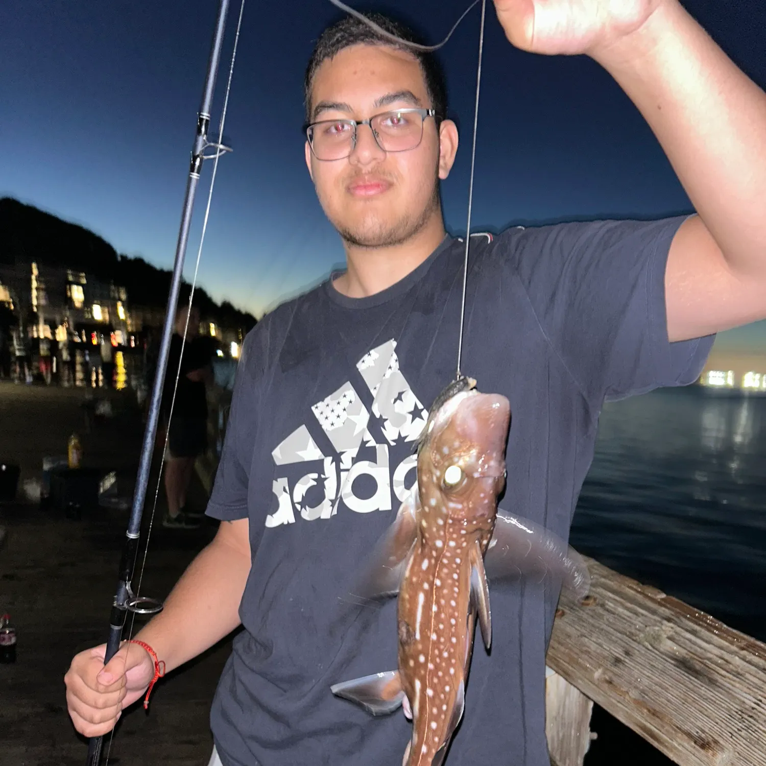The most recent Rabbit fish catches on Fishbrain