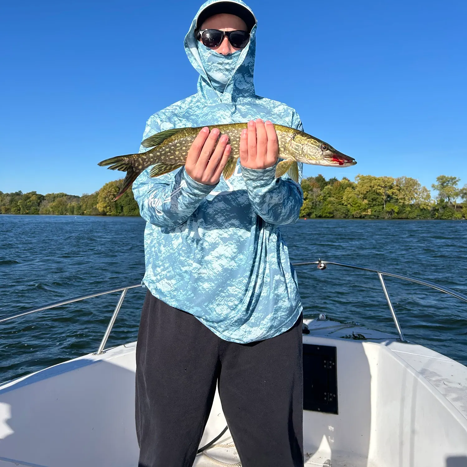 Northern pike caught on Fishbrain