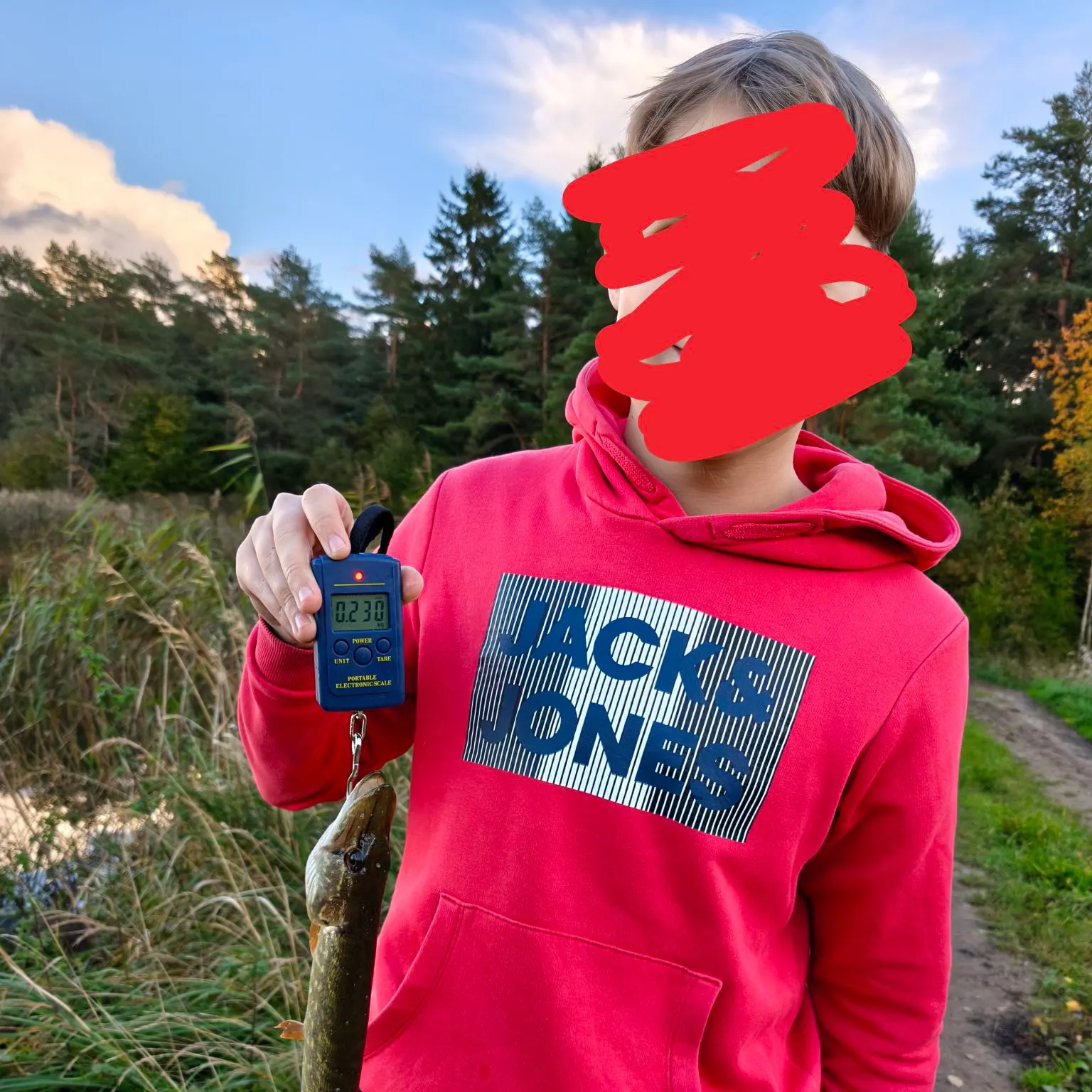 Northern pike caught on Fishbrain
