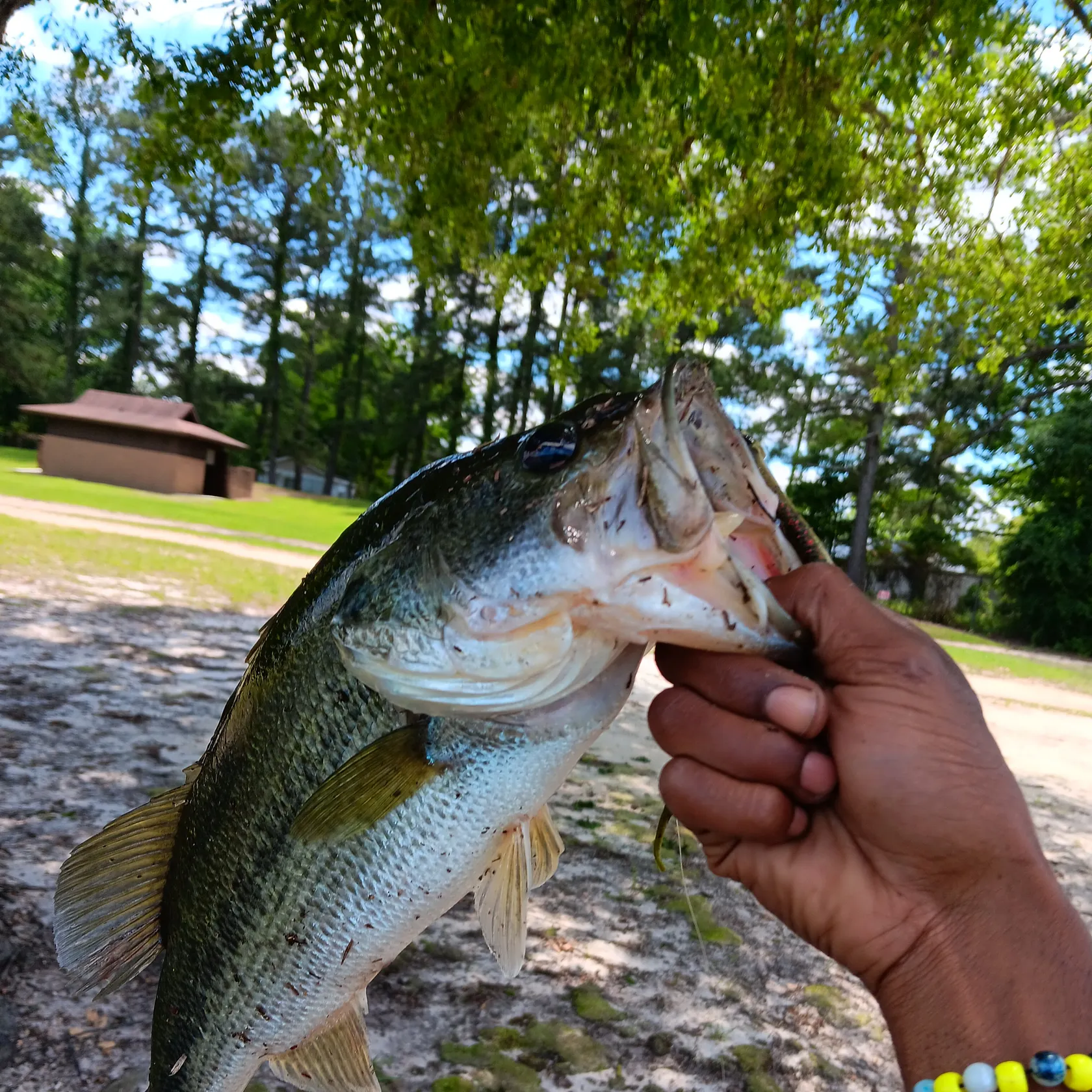 angler catch